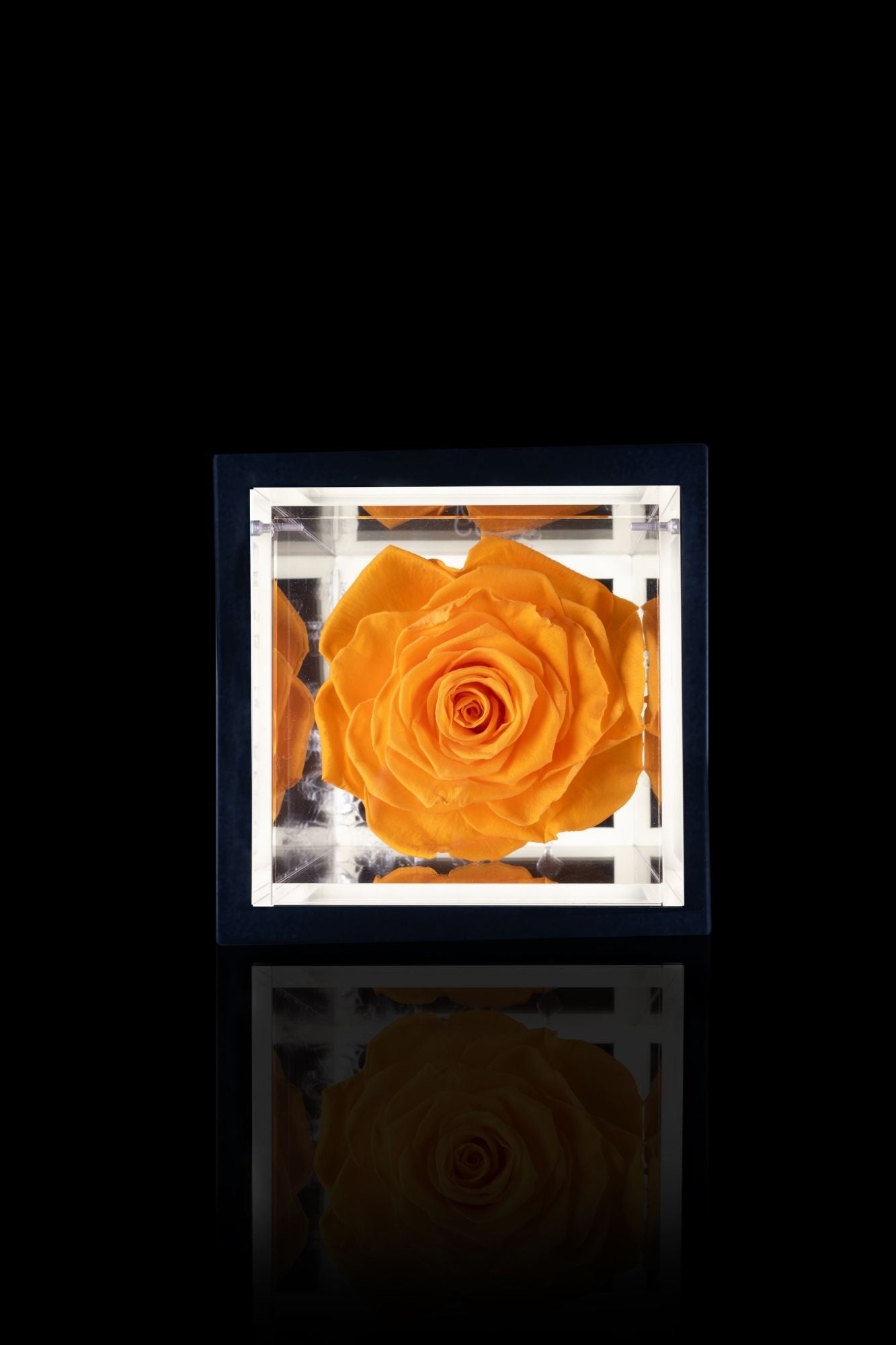 FLOWERCUBE® + LAMPADA: SET COMPLETO