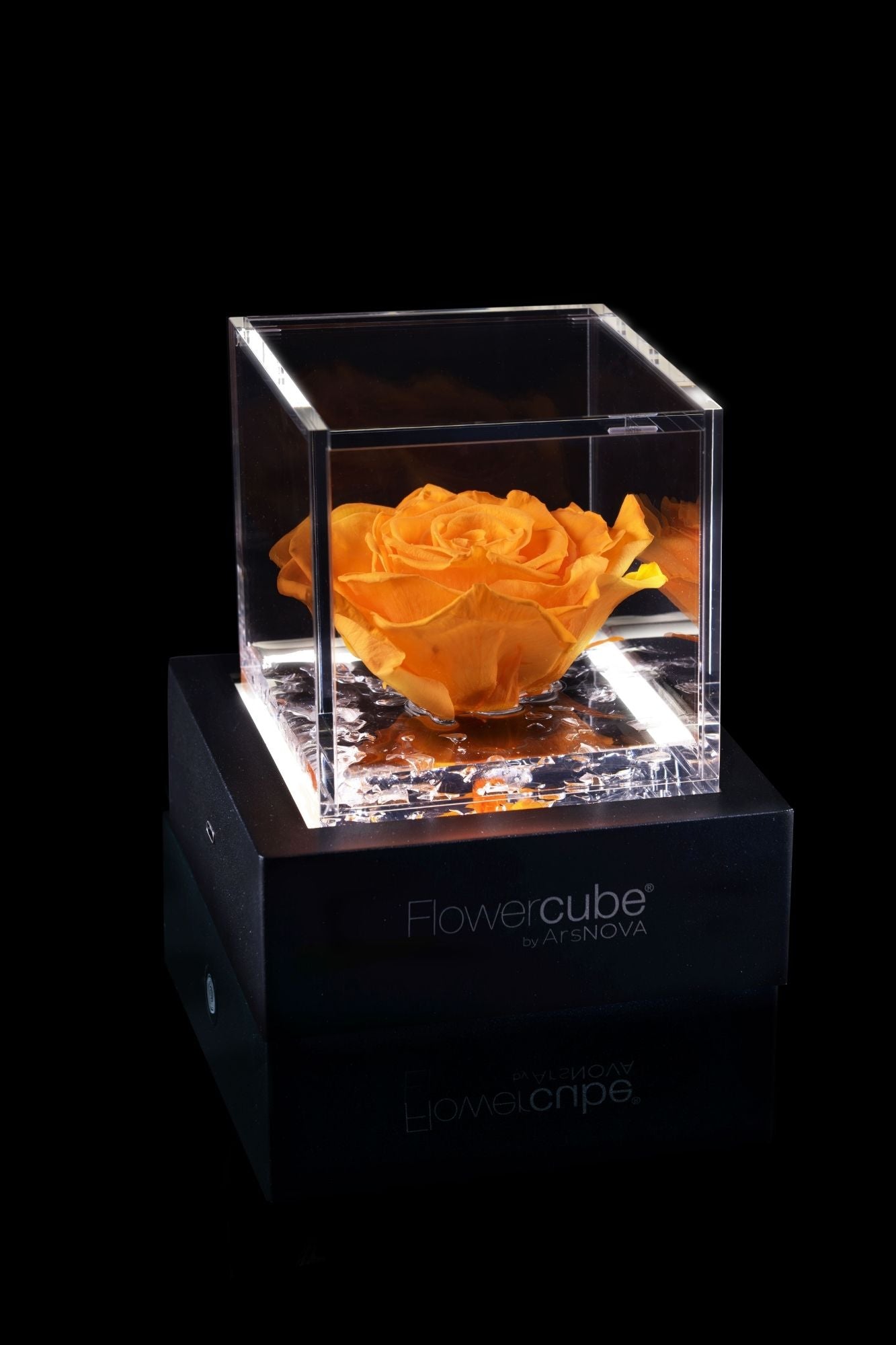 FLOWERCUBE® + LAMPADA: SET COMPLETO