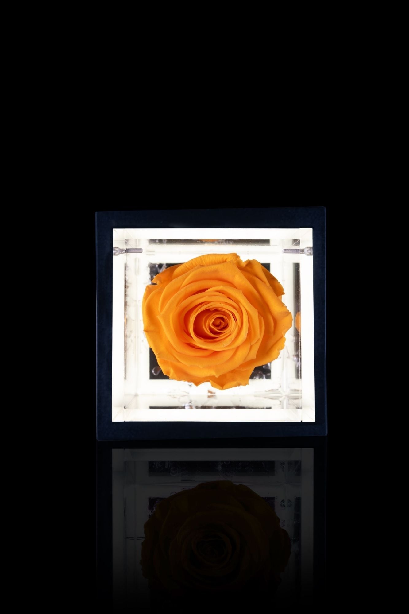 FLOWERCUBE® + LAMPADA: SET COMPLETO