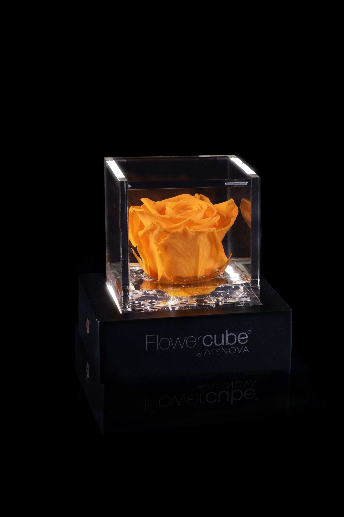 FLOWERCUBE® + LAMPADA: SET COMPLETO