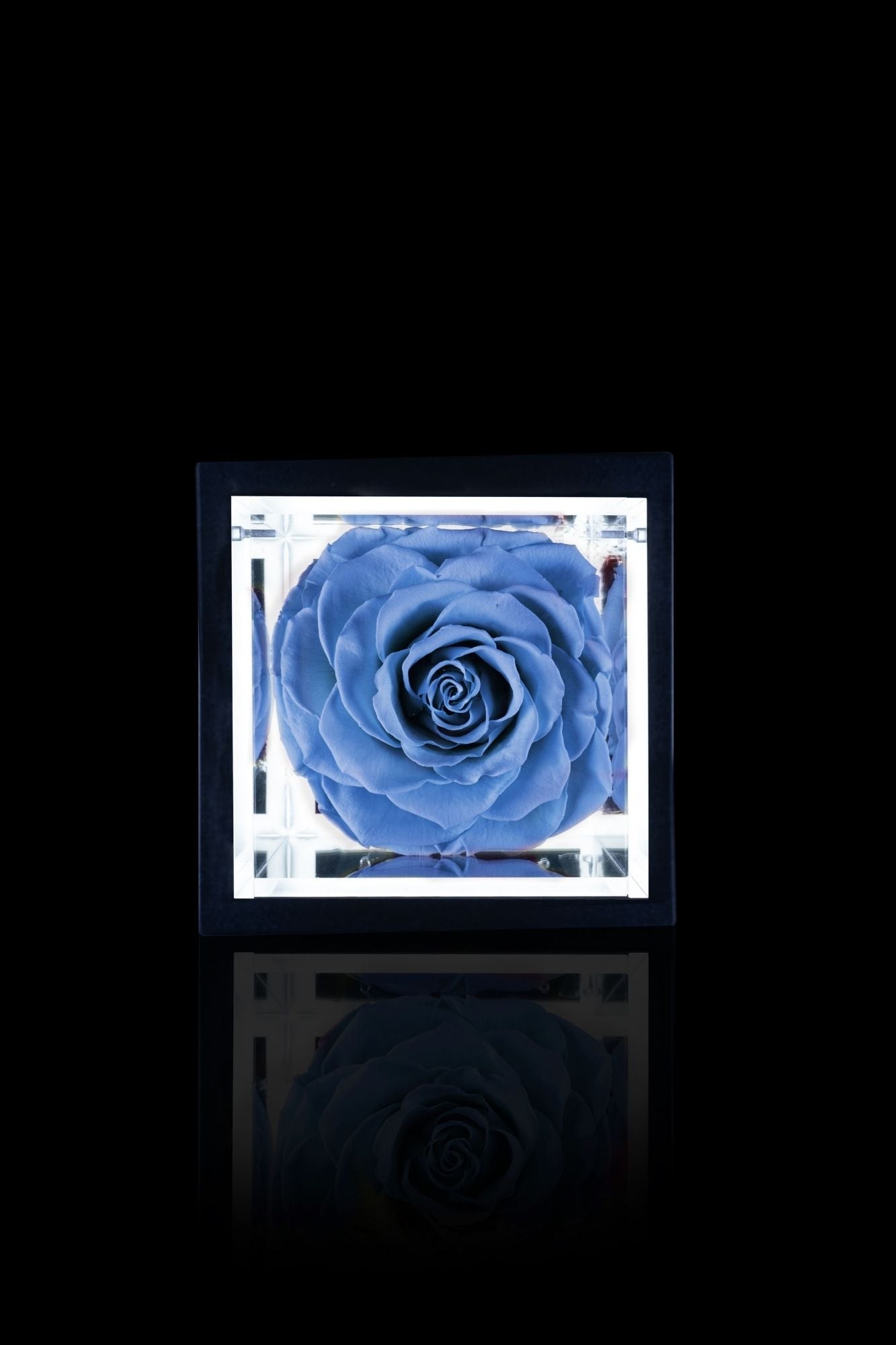 FLOWERCUBE® + LAMPADA: SET COMPLETO