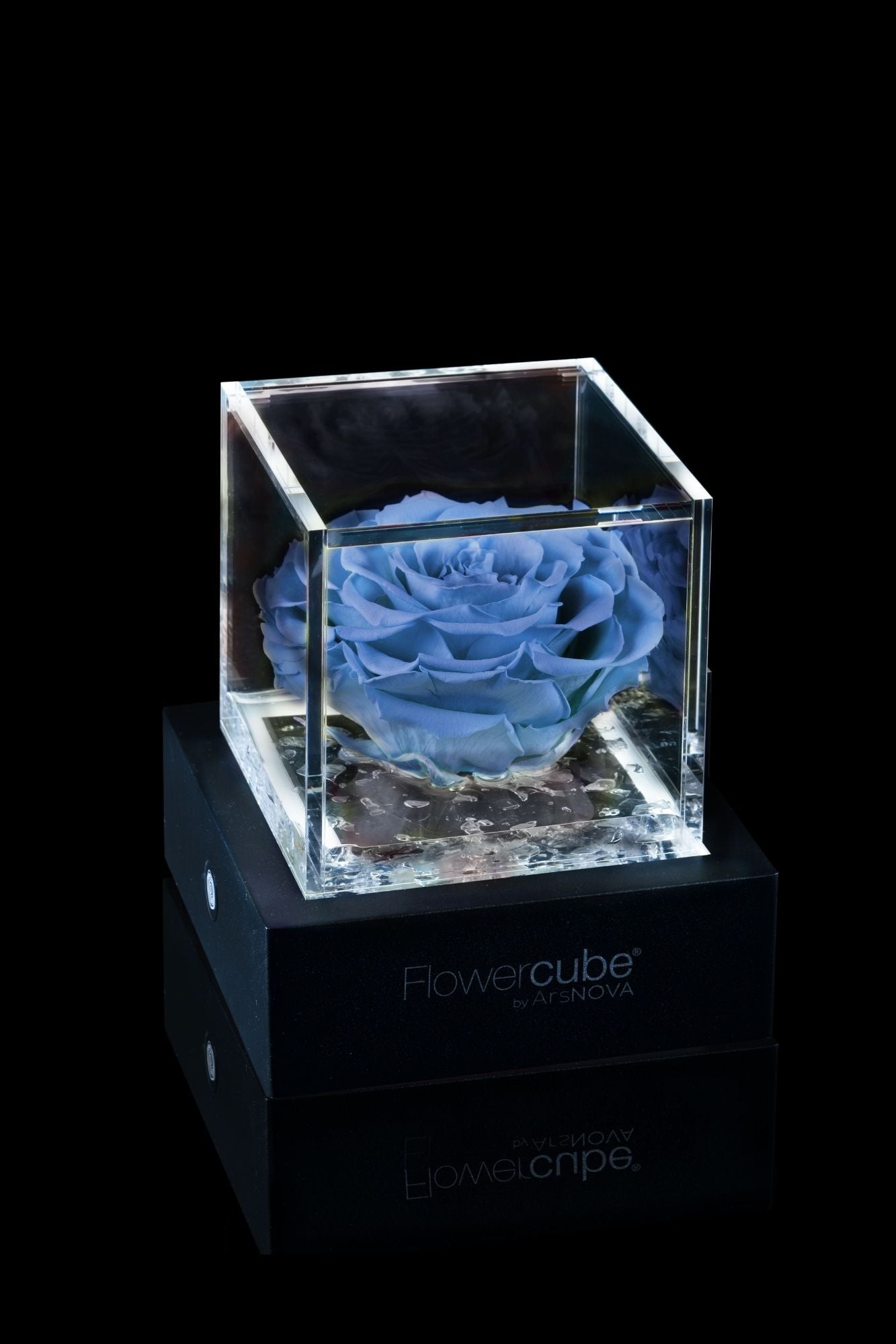 FLOWERCUBE® + LAMPADA: SET COMPLETO