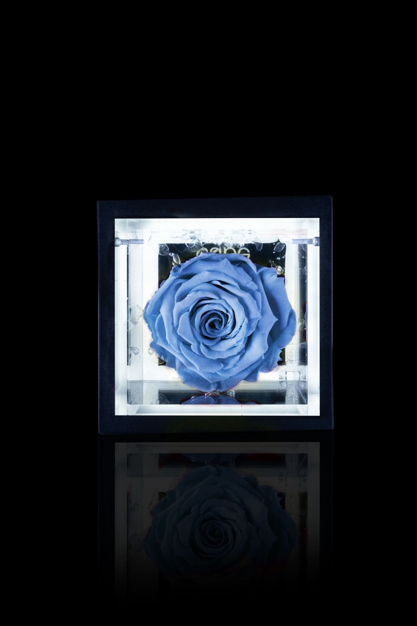 FLOWERCUBE® + LAMPADA: SET COMPLETO