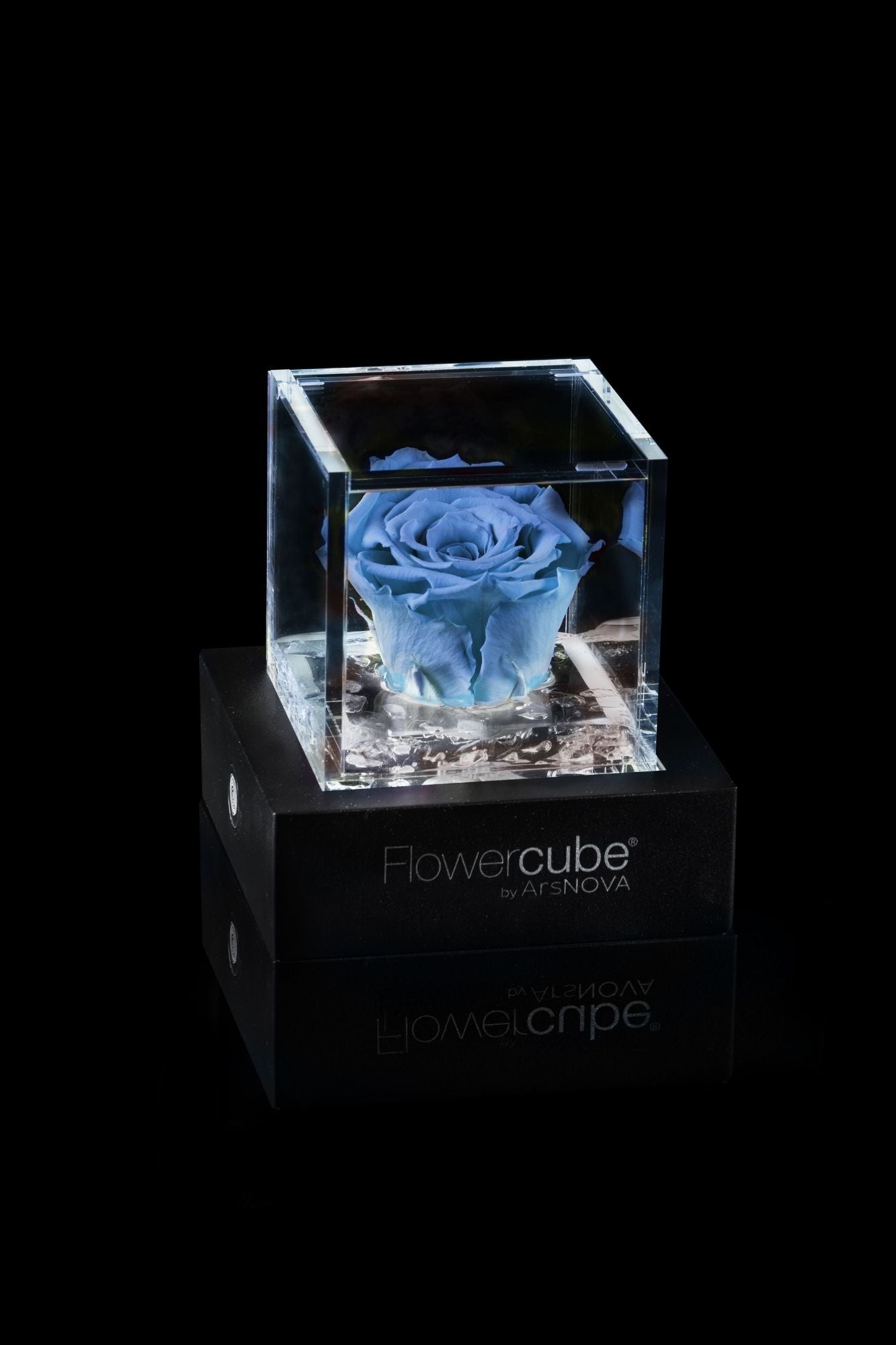 FLOWERCUBE® + LAMPADA: SET COMPLETO