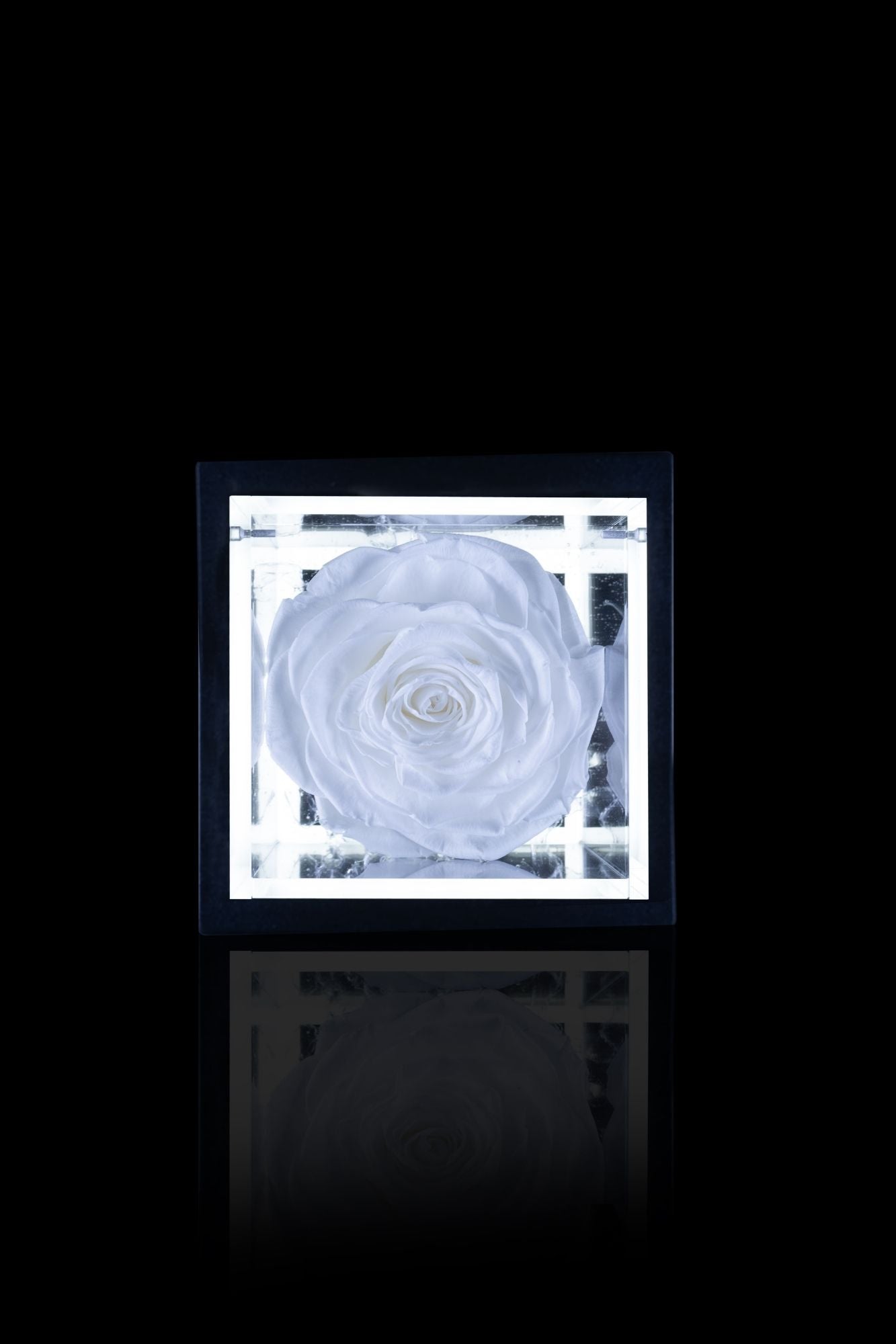 FLOWERCUBE® + LAMPADA: SET COMPLETO