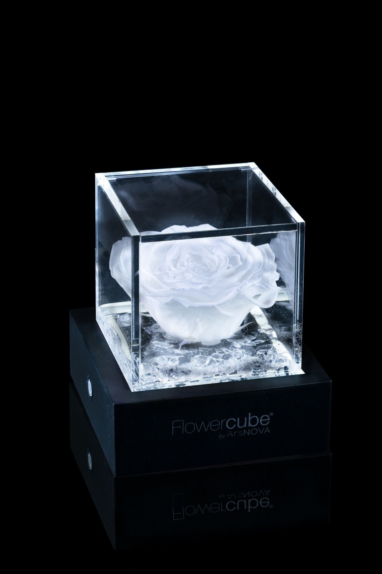 FLOWERCUBE® + LAMPADA: SET COMPLETO