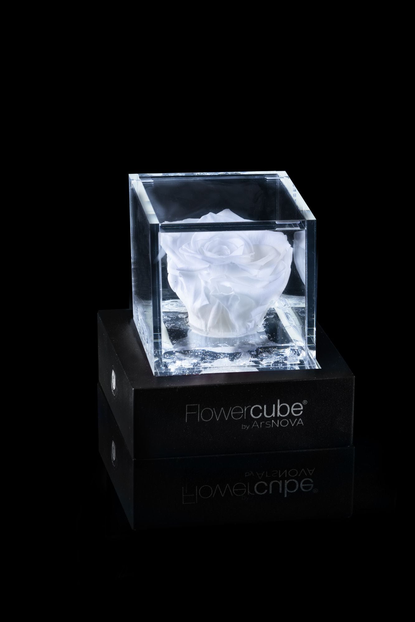 FLOWERCUBE® + LAMPADA: SET COMPLETO