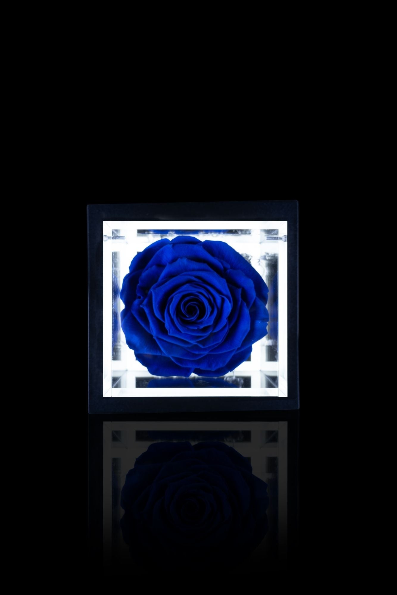 FLOWERCUBE® + LAMPADA: SET COMPLETO