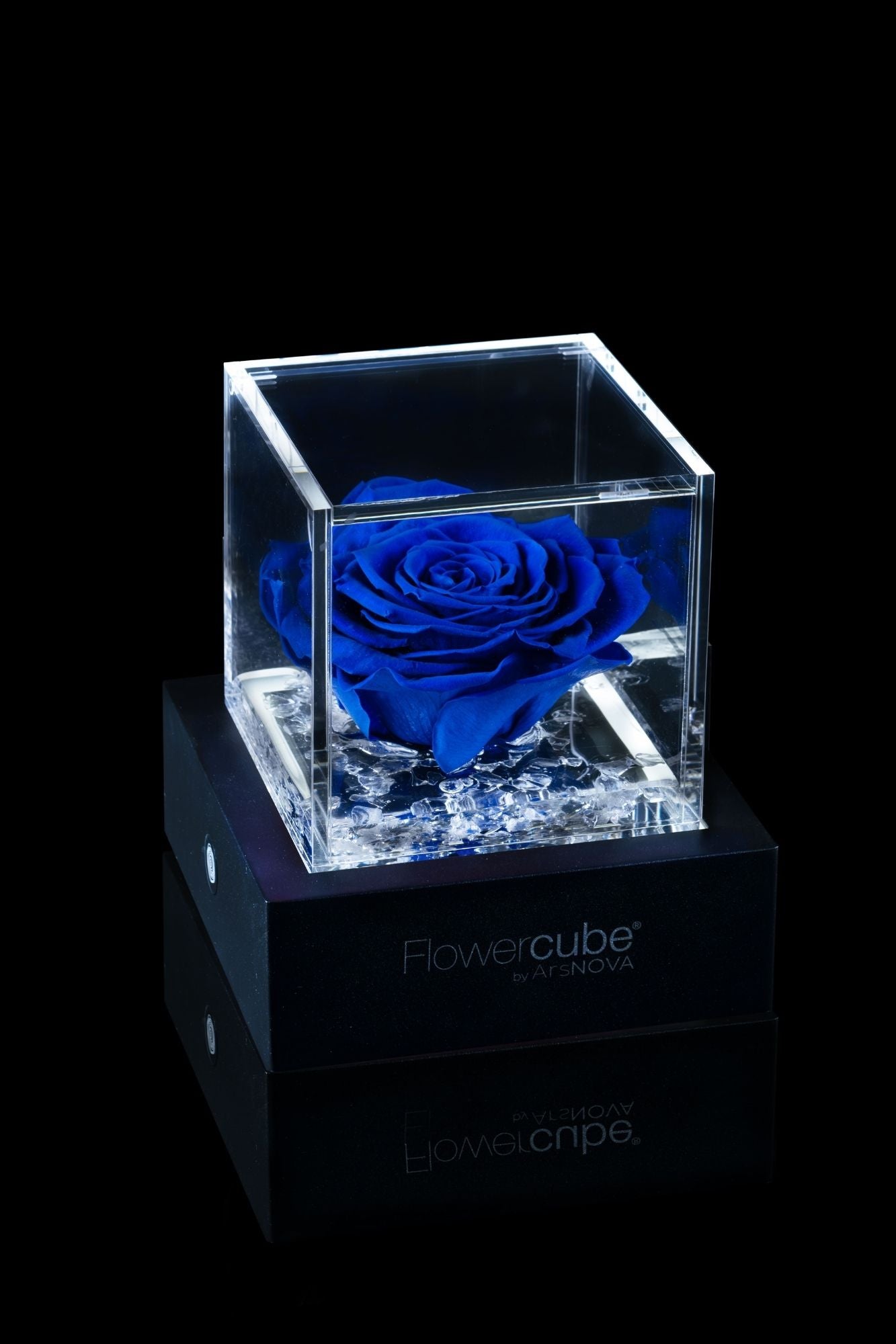 FLOWERCUBE® + LAMPADA: SET COMPLETO