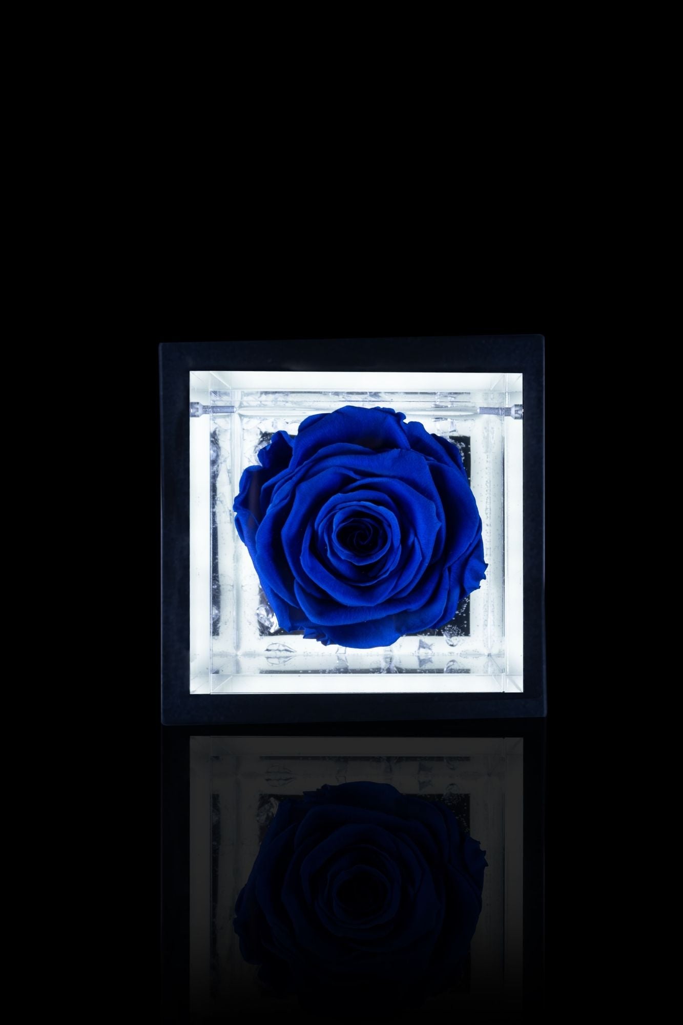 FLOWERCUBE® + LAMPADA: SET COMPLETO