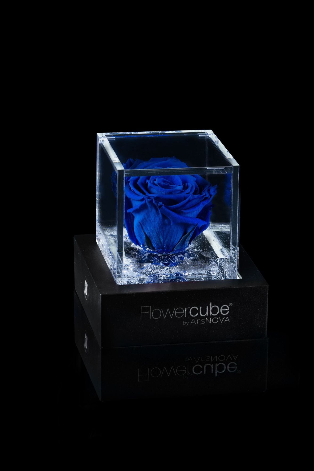 FLOWERCUBE® + LAMPADA: SET COMPLETO