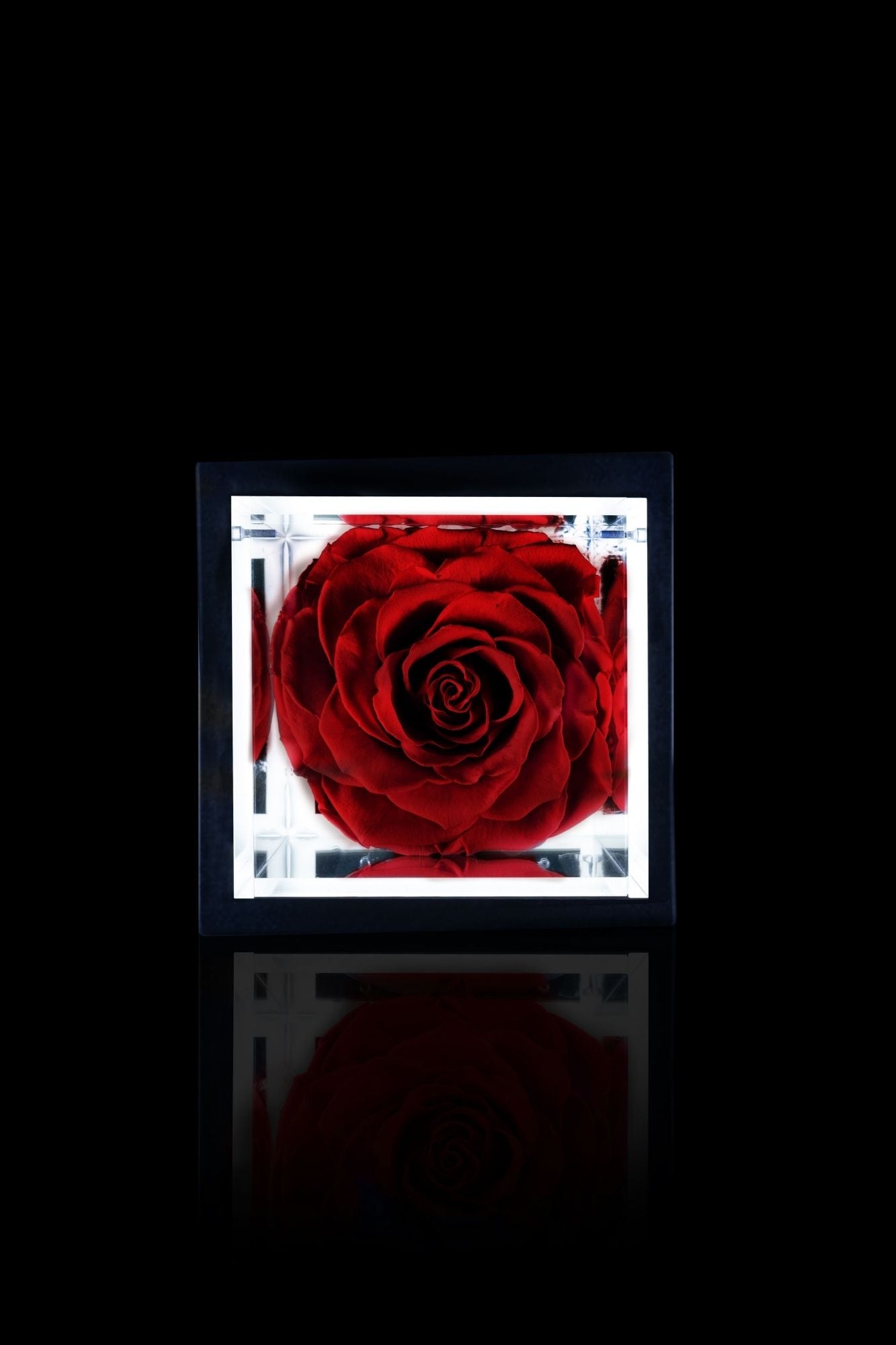 FLOWERCUBE® + LAMPADA: SET COMPLETO