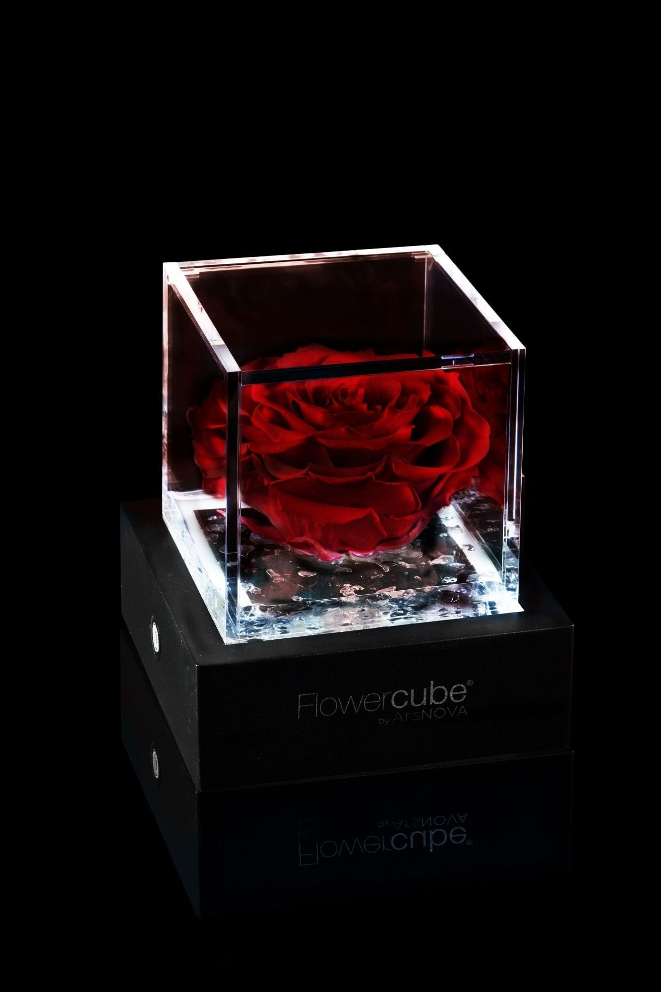 FLOWERCUBE® + LAMPADA: SET COMPLETO