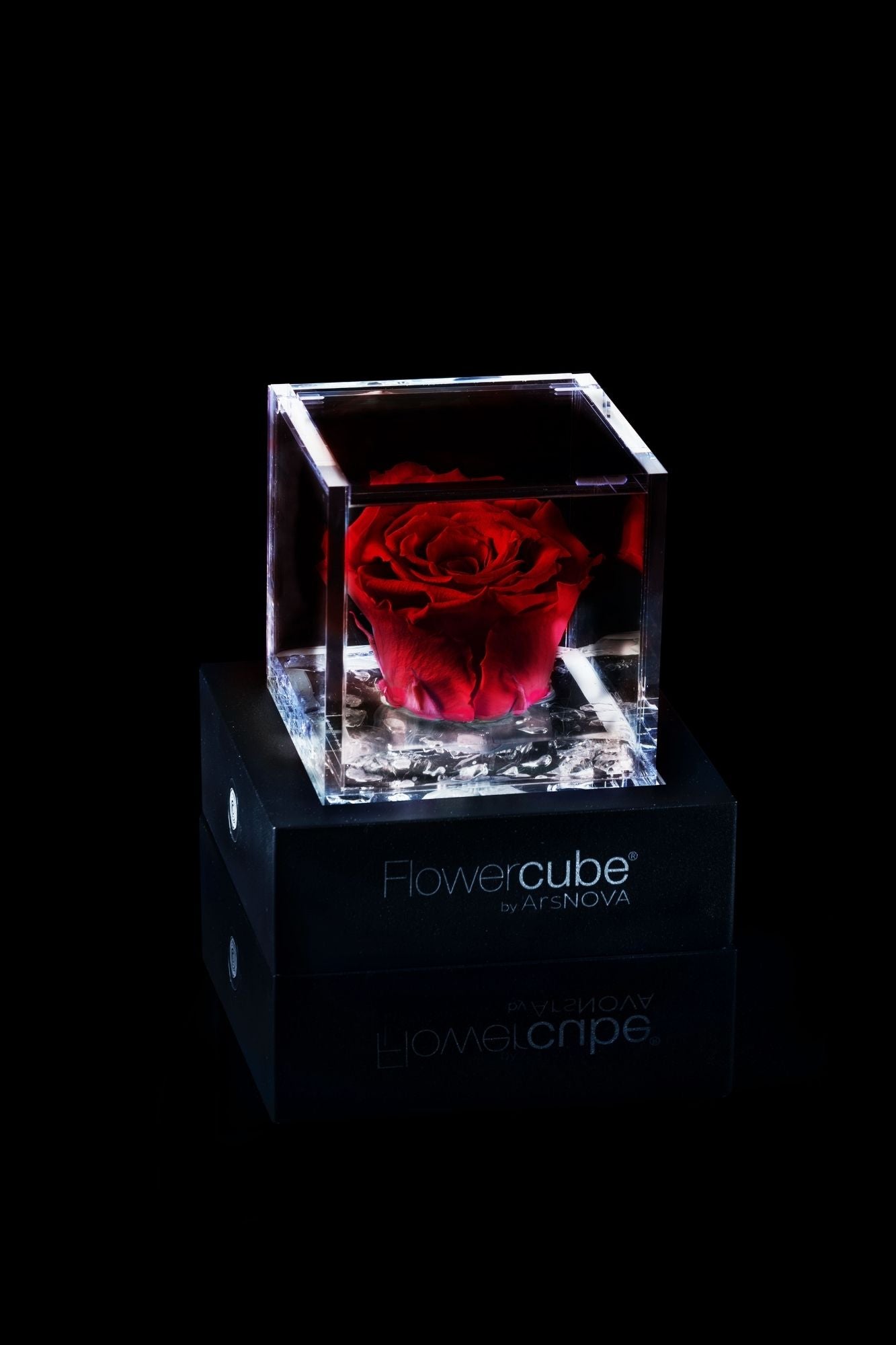 FLOWERCUBE® + LAMPADA: SET COMPLETO