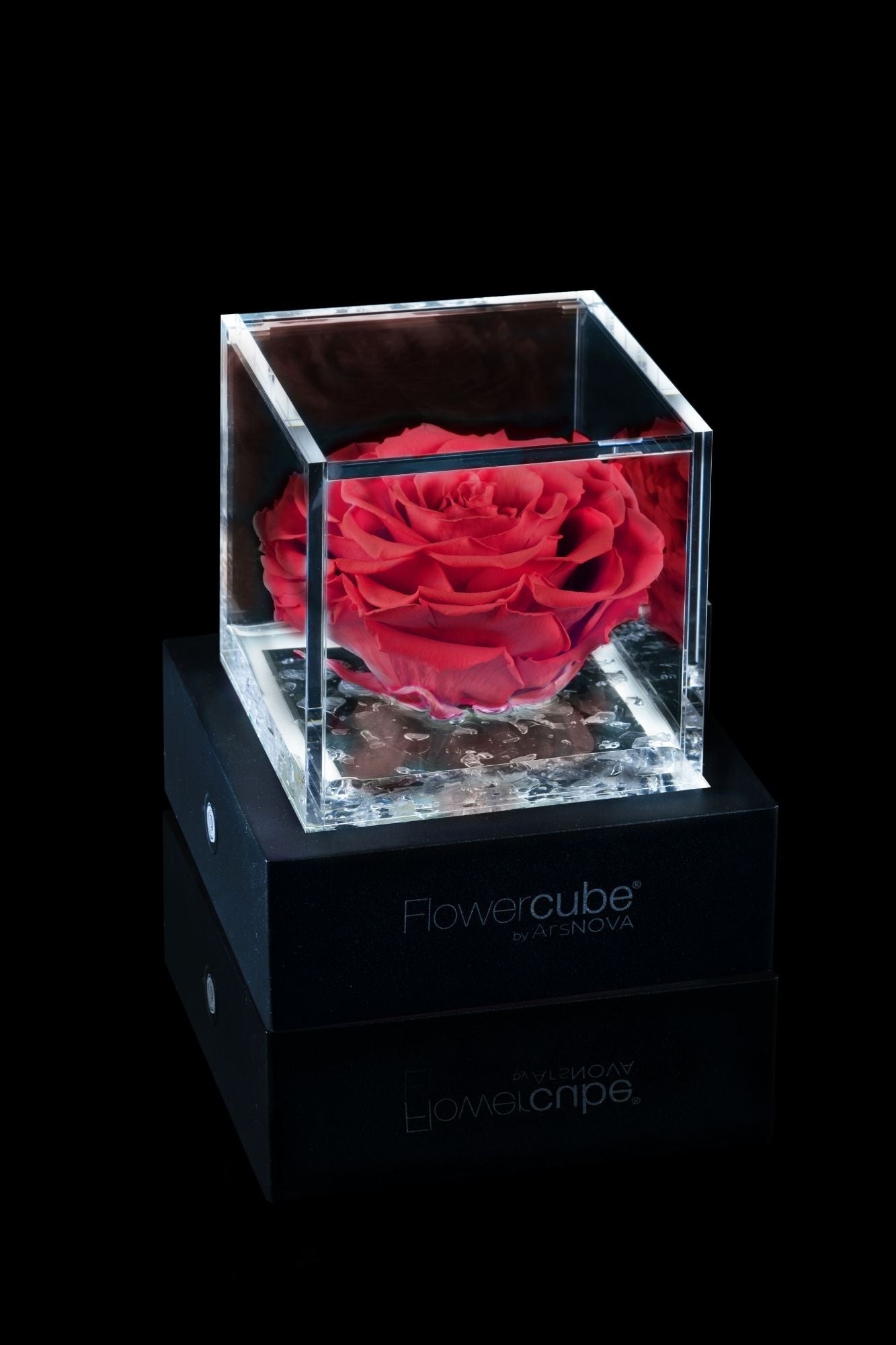 FLOWERCUBE® + LAMPADA: SET COMPLETO