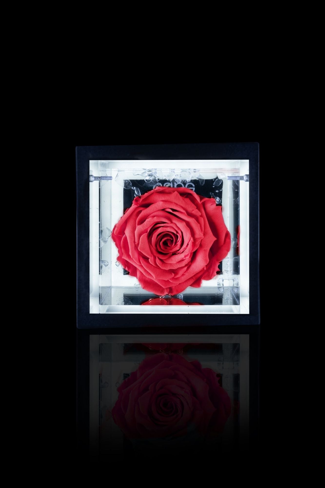 FLOWERCUBE® + LAMPADA: SET COMPLETO