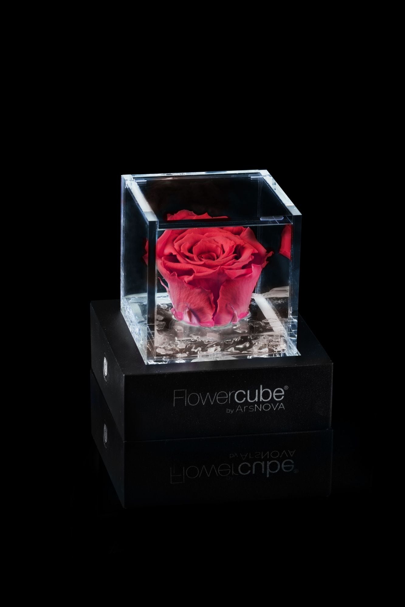 FLOWERCUBE® + LAMPADA: SET COMPLETO
