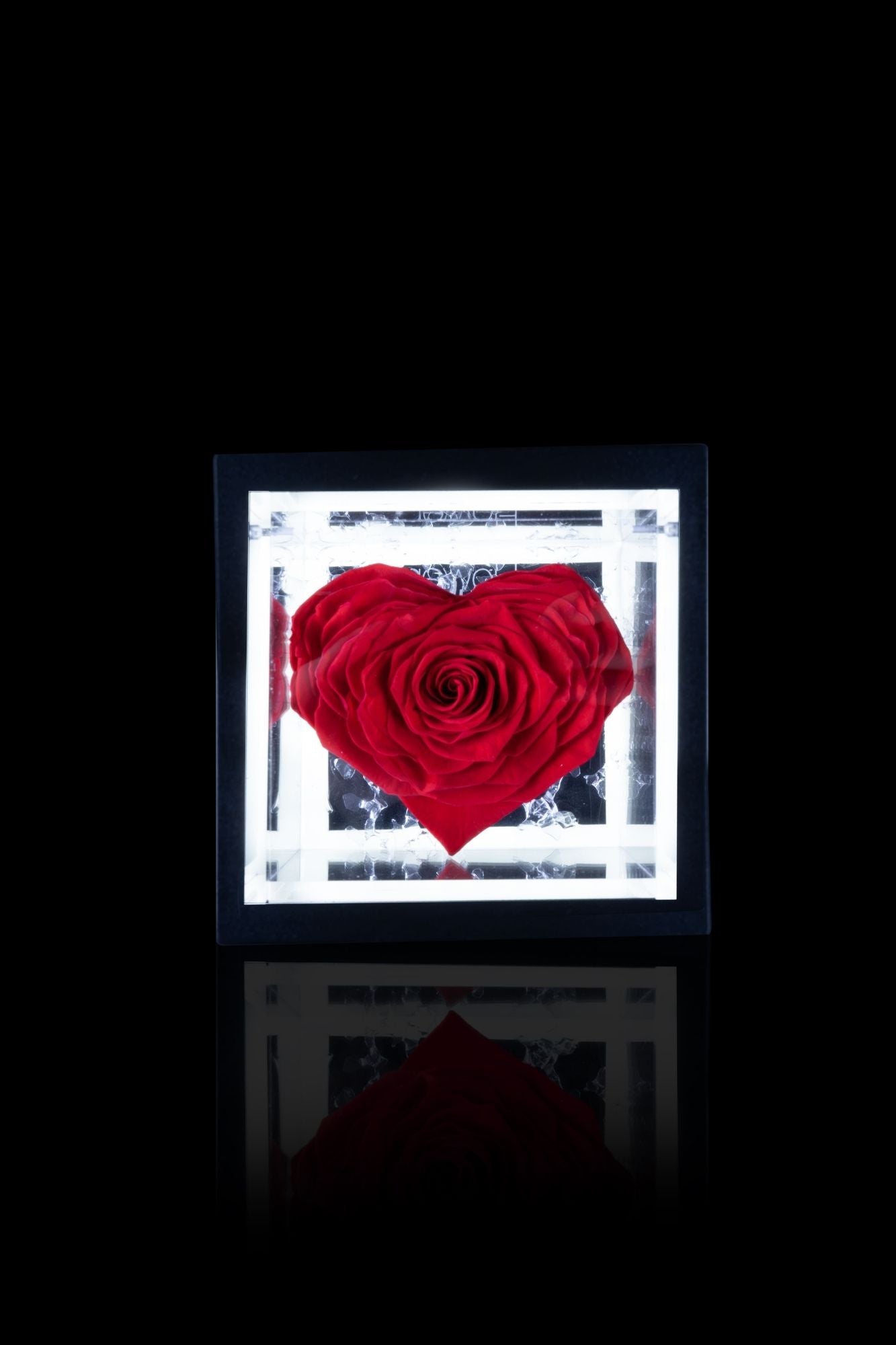 FLOWERCUBE® + LAMPADA: SET COMPLETO