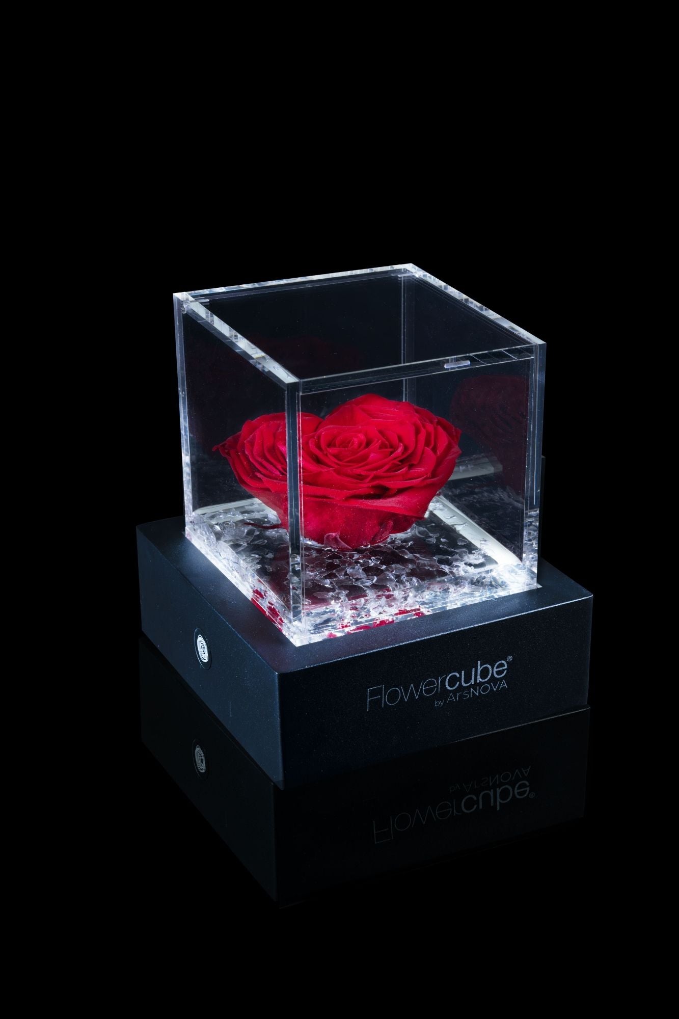 FLOWERCUBE® + LAMPADA: SET COMPLETO