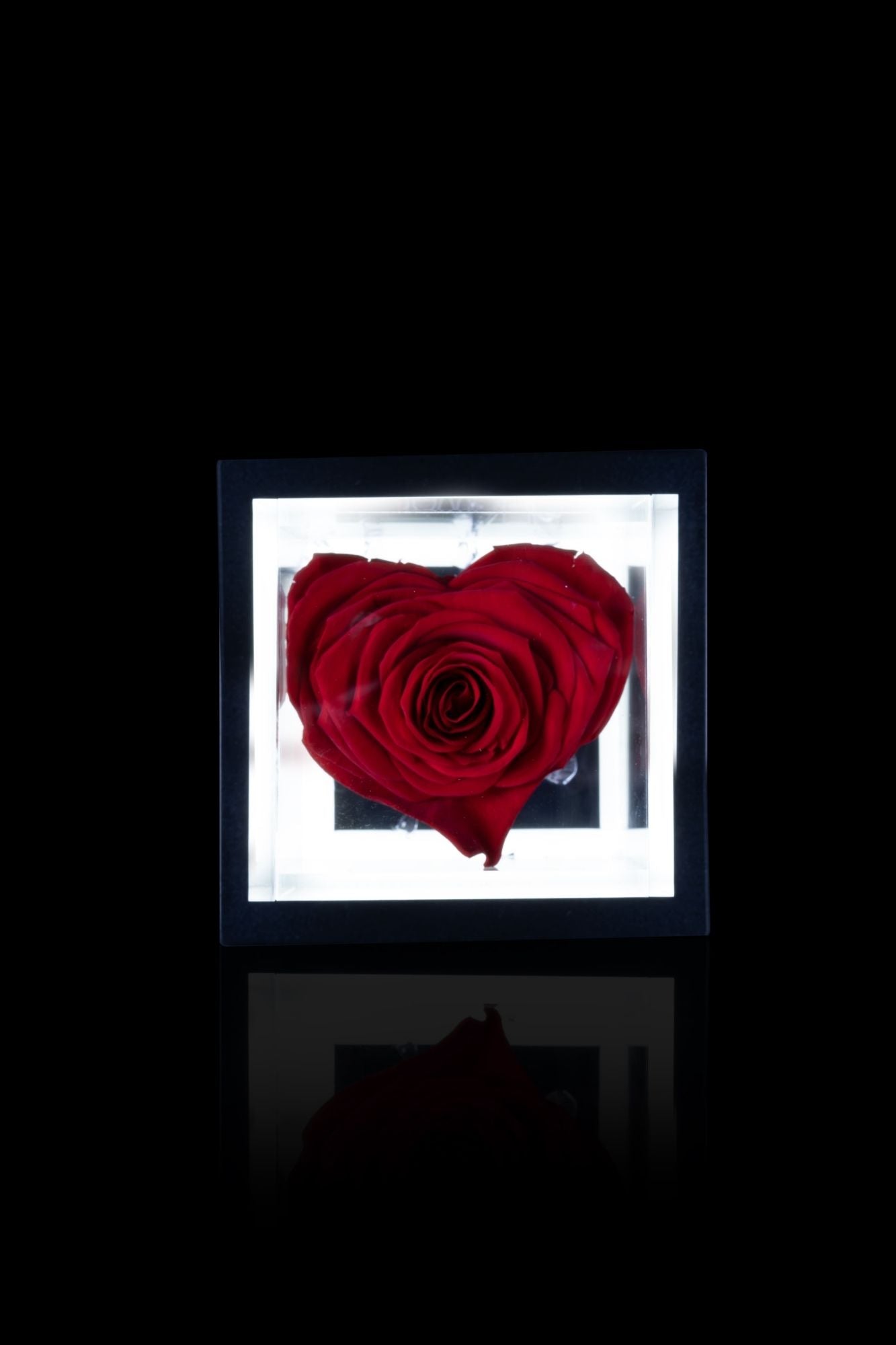 FLOWERCUBE® + LAMPADA: SET COMPLETO