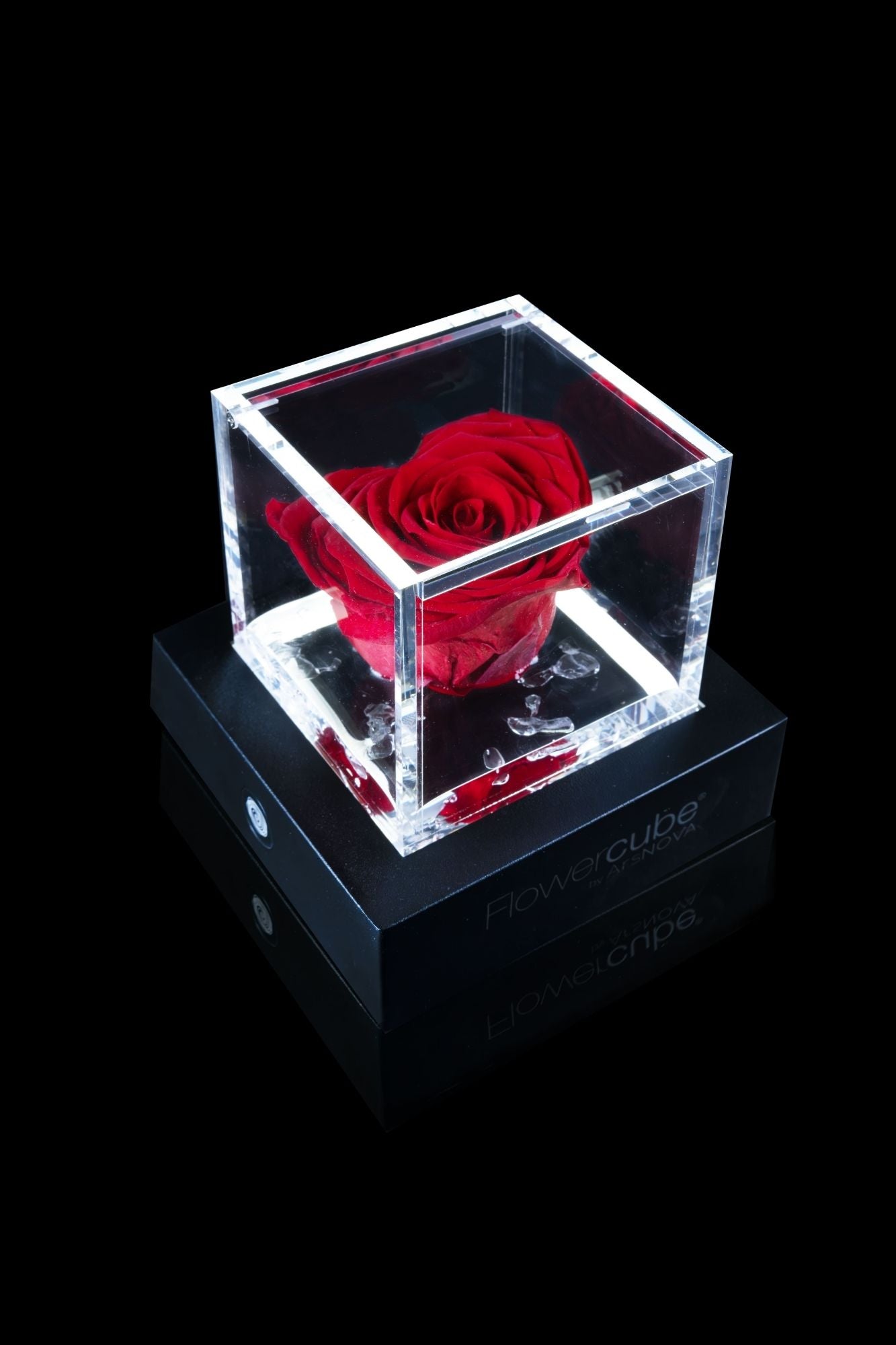 FLOWERCUBE® + LAMPADA: SET COMPLETO