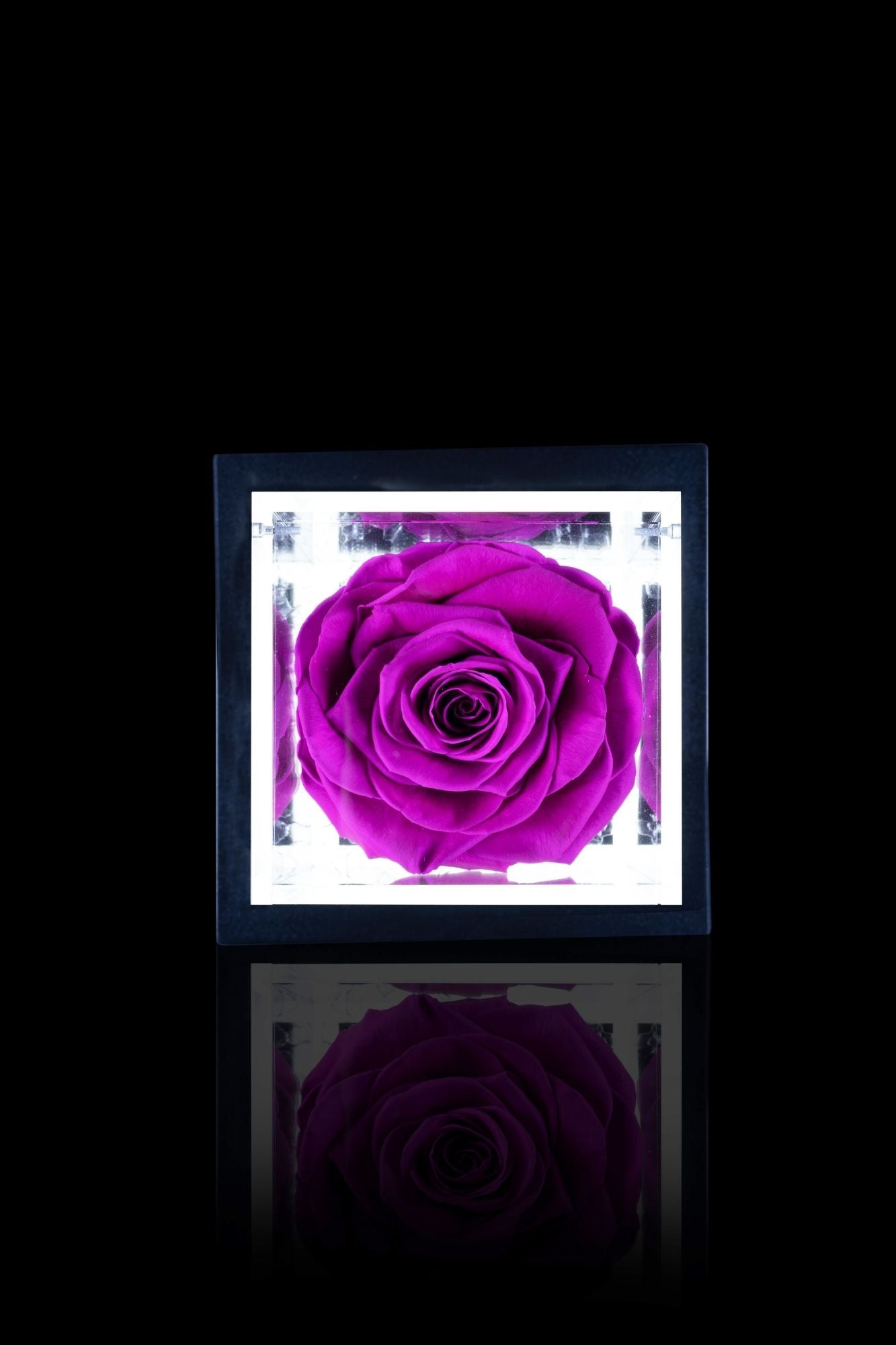 FLOWERCUBE® + LAMPADA: SET COMPLETO