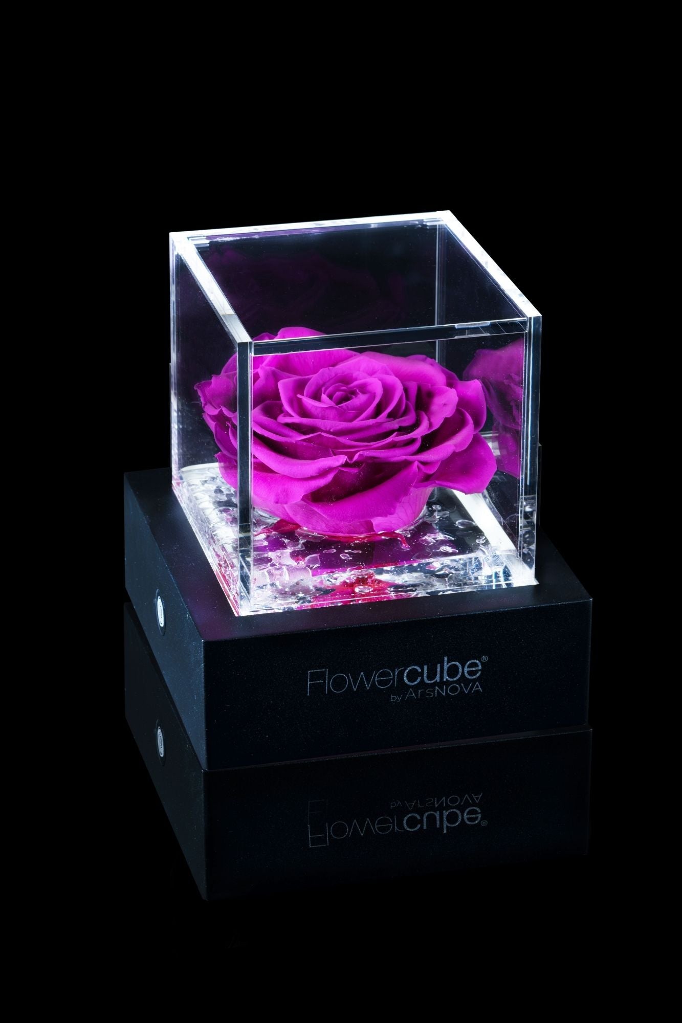 FLOWERCUBE® + LAMPADA: SET COMPLETO