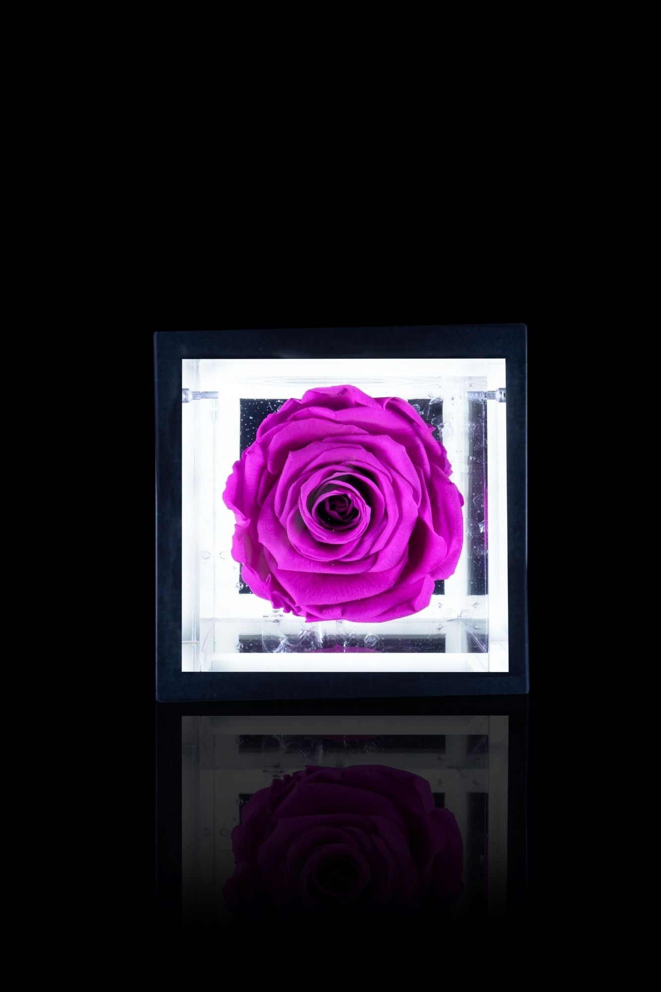 FLOWERCUBE® + LAMPADA: SET COMPLETO