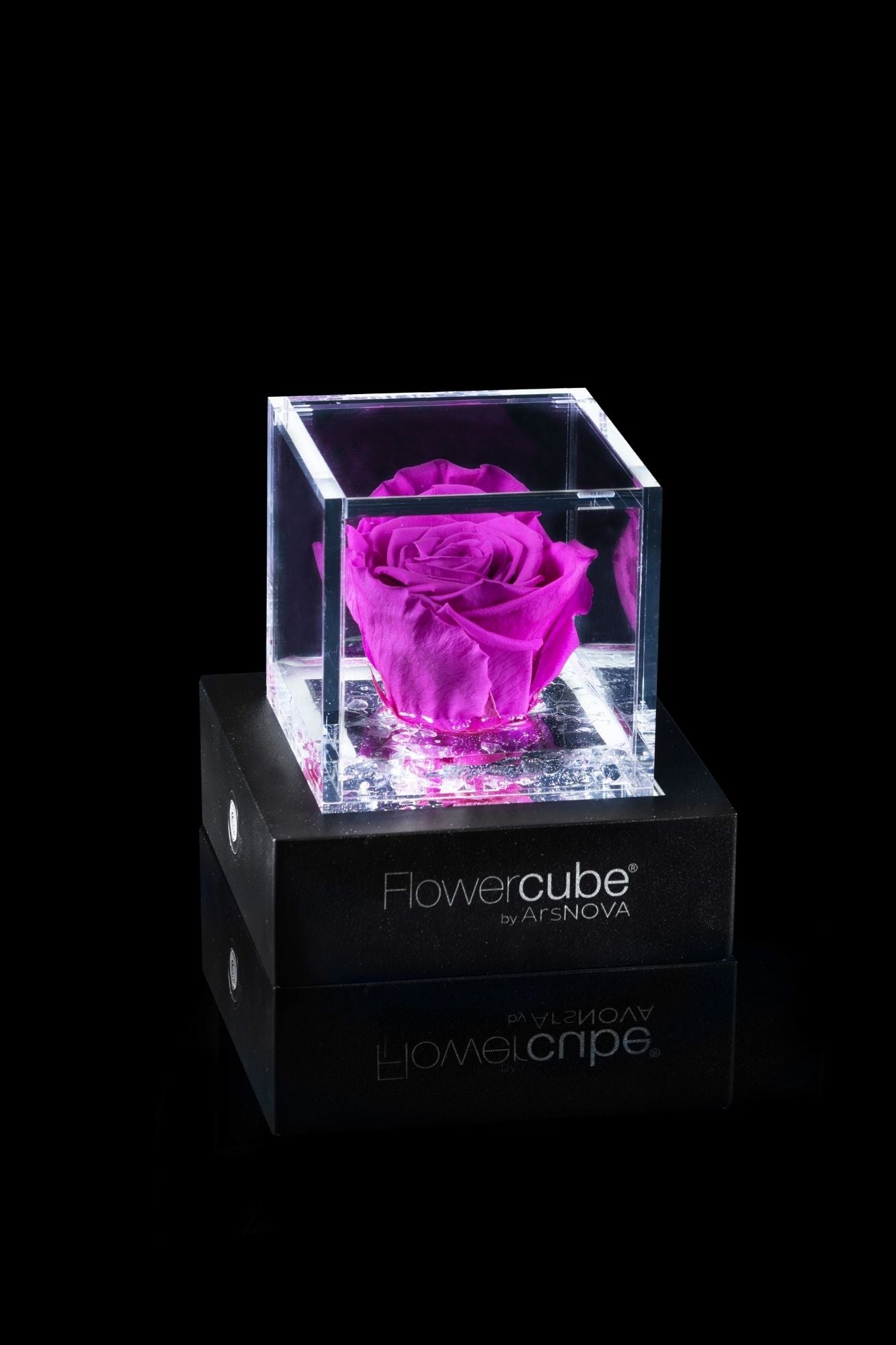 FLOWERCUBE® + LAMPADA: SET COMPLETO