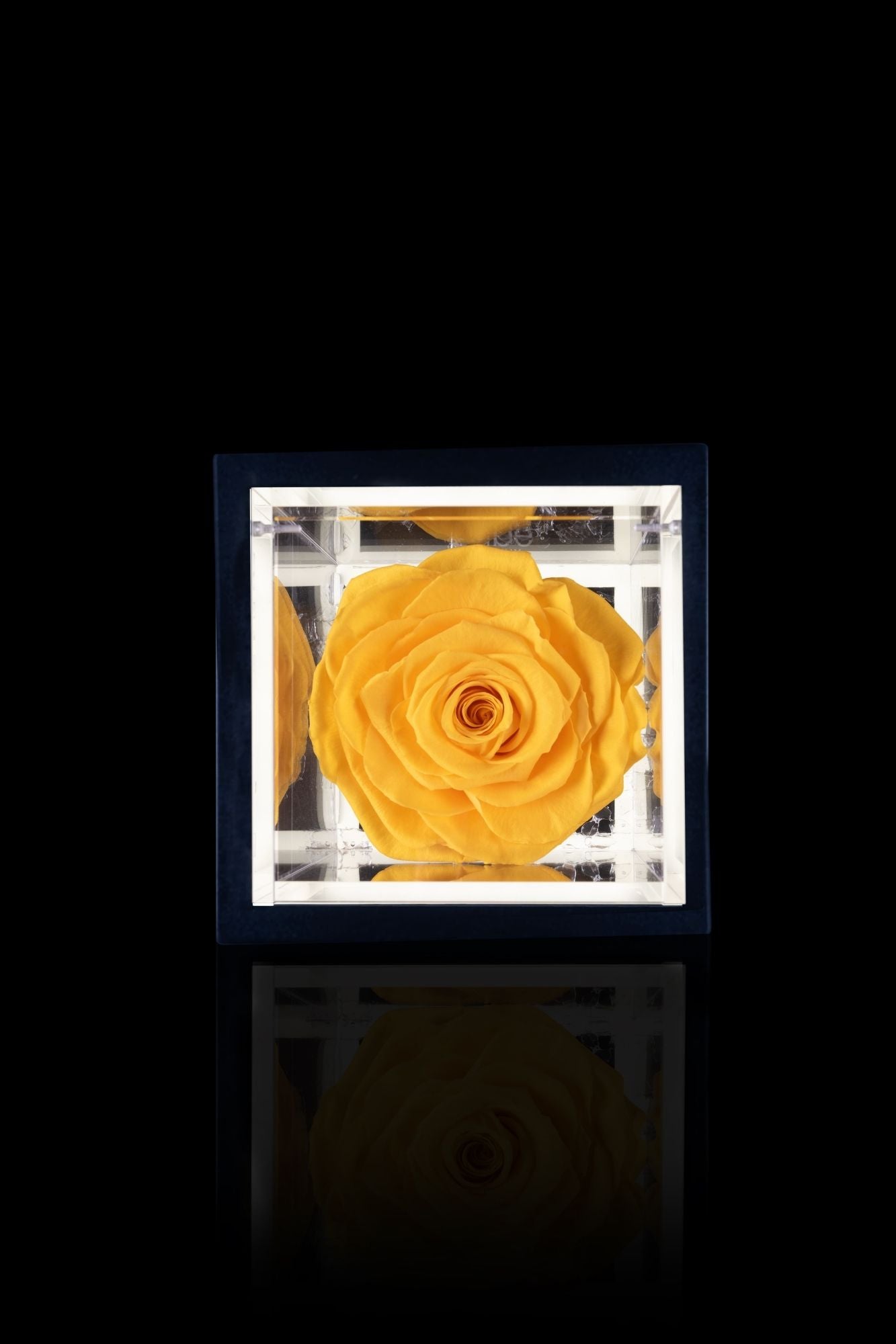 FLOWERCUBE® + LAMPADA: SET COMPLETO