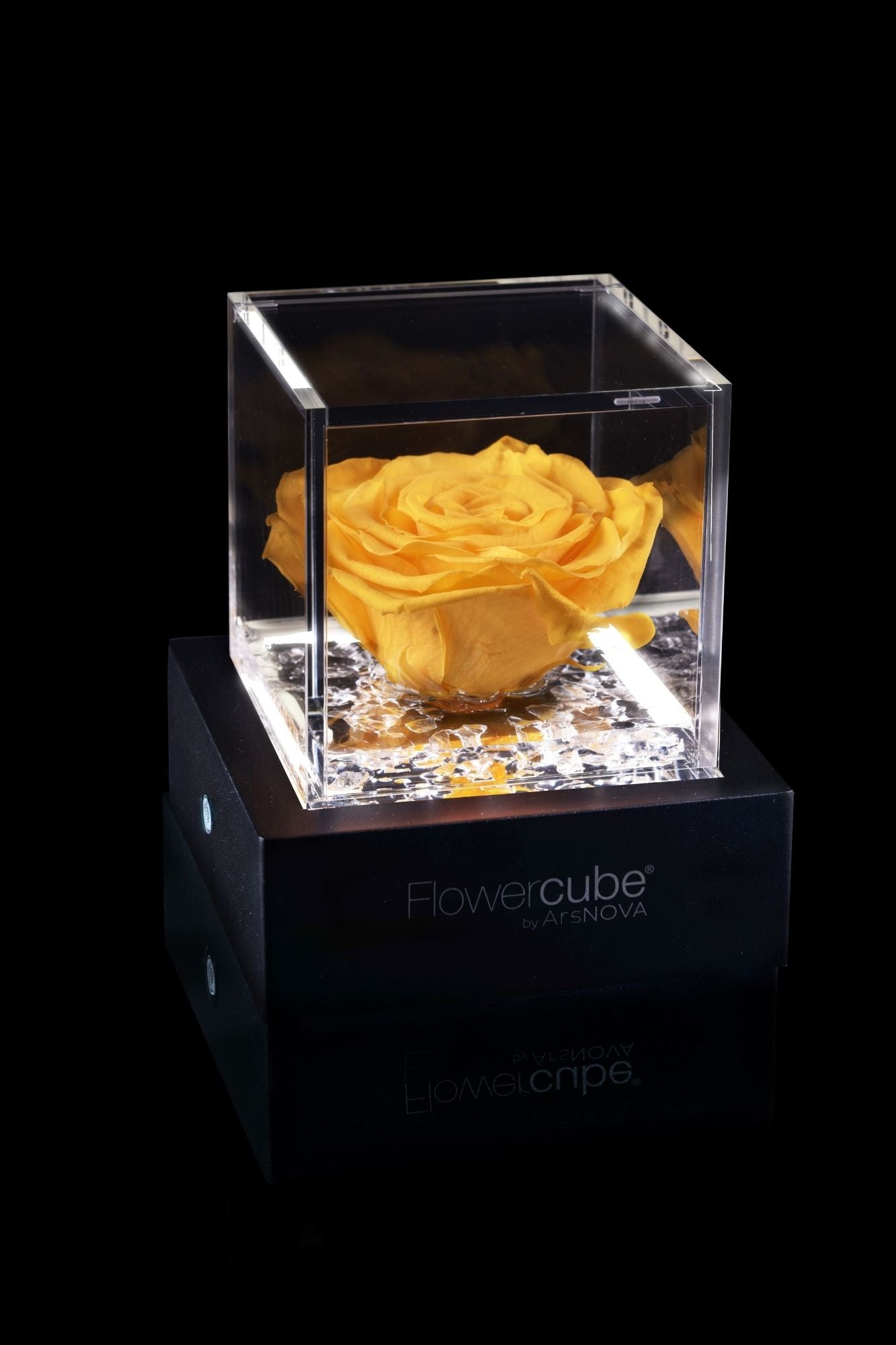 FLOWERCUBE® + LAMPADA: SET COMPLETO