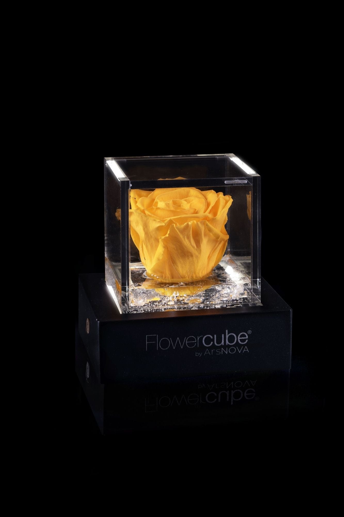 FLOWERCUBE® + LAMPADA: SET COMPLETO