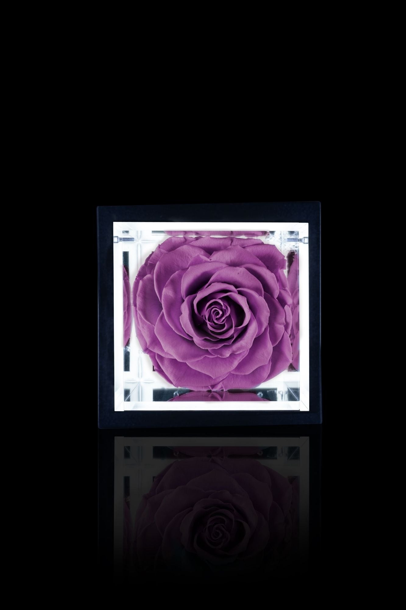 FLOWERCUBE® + LAMPADA: SET COMPLETO