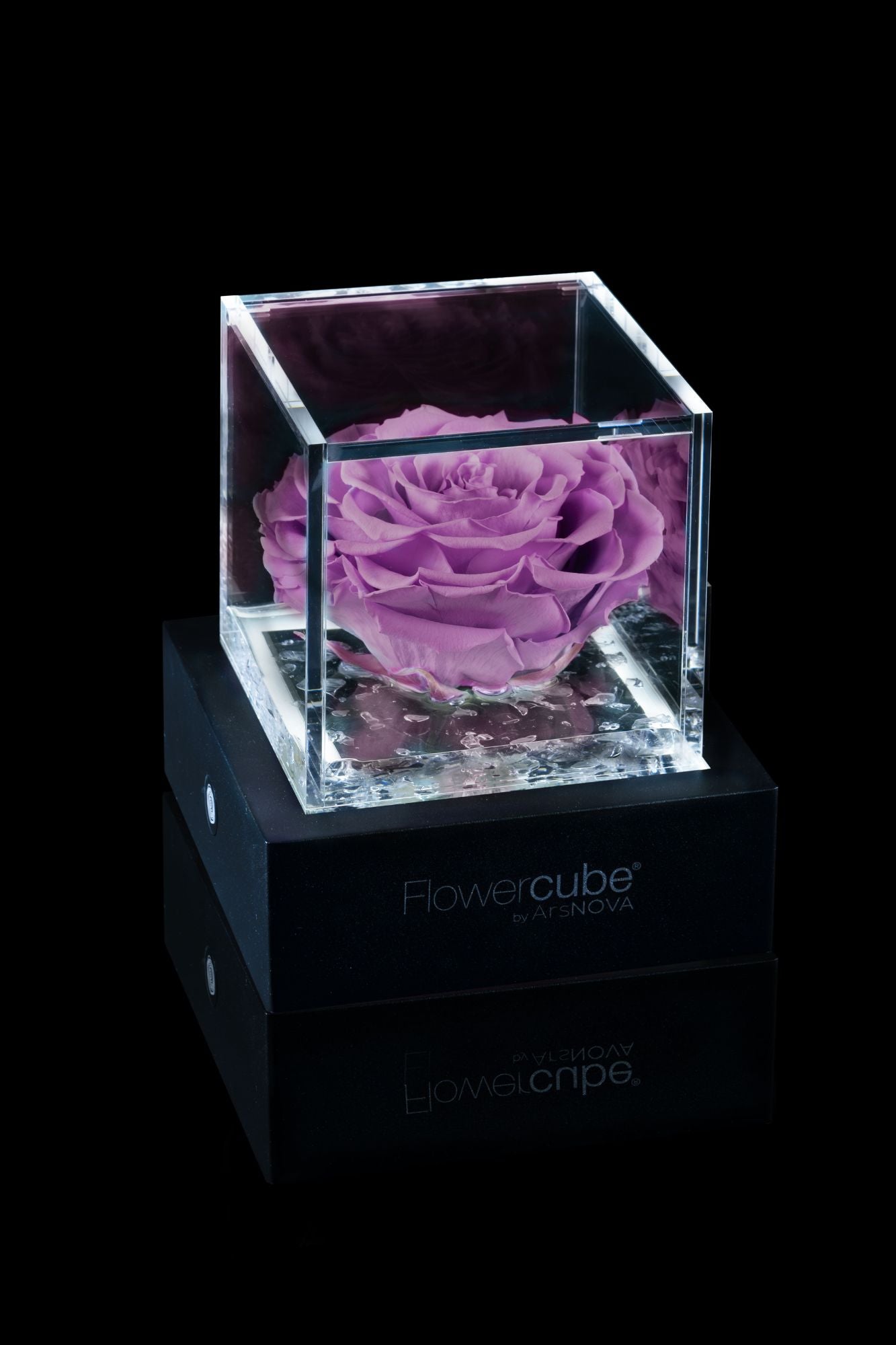 FLOWERCUBE® + LAMPADA: SET COMPLETO
