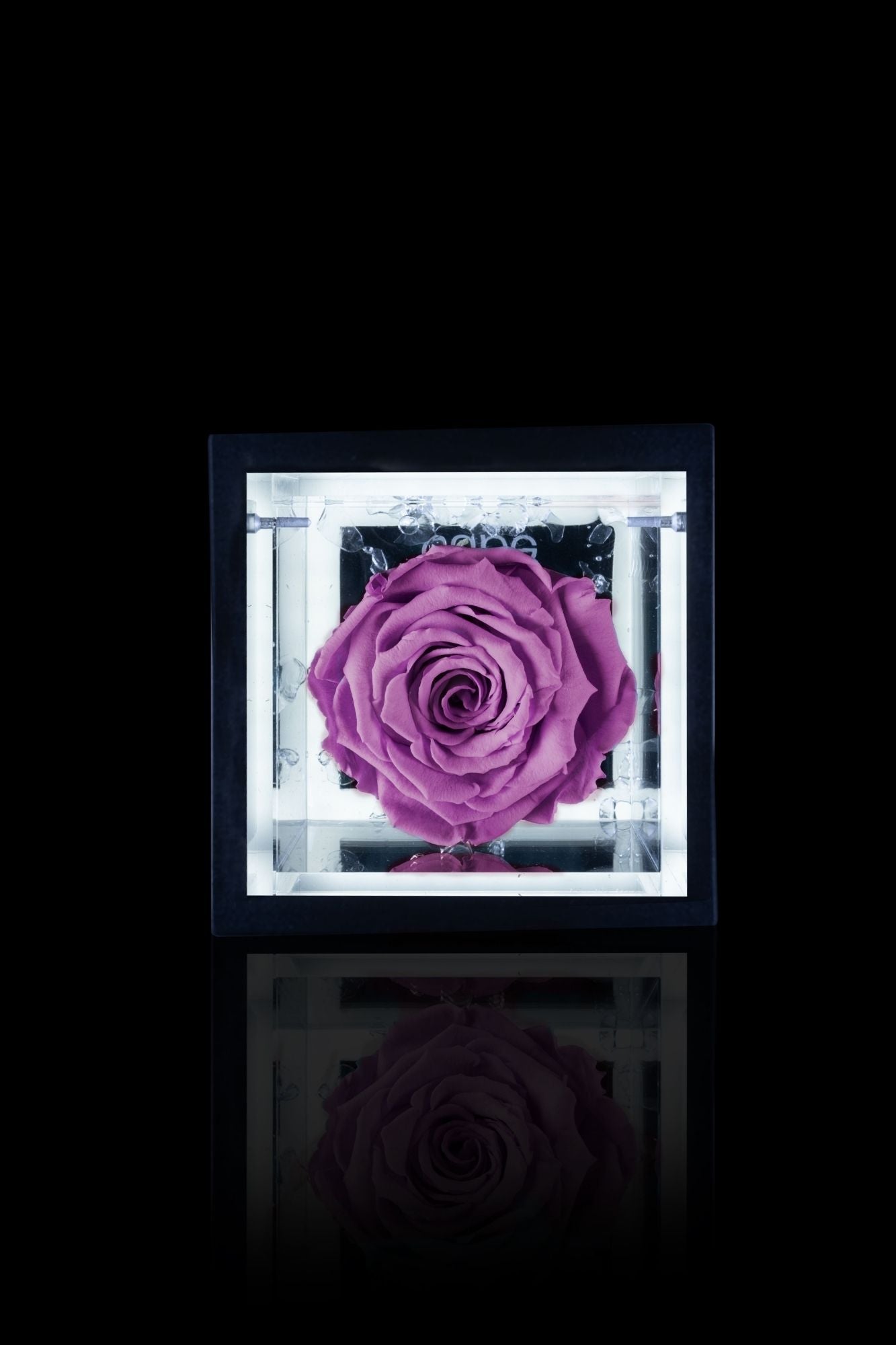 FLOWERCUBE® + LAMPADA: SET COMPLETO