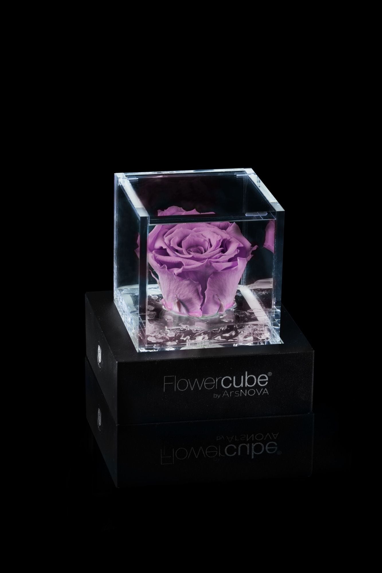 FLOWERCUBE® + LAMPADA: SET COMPLETO