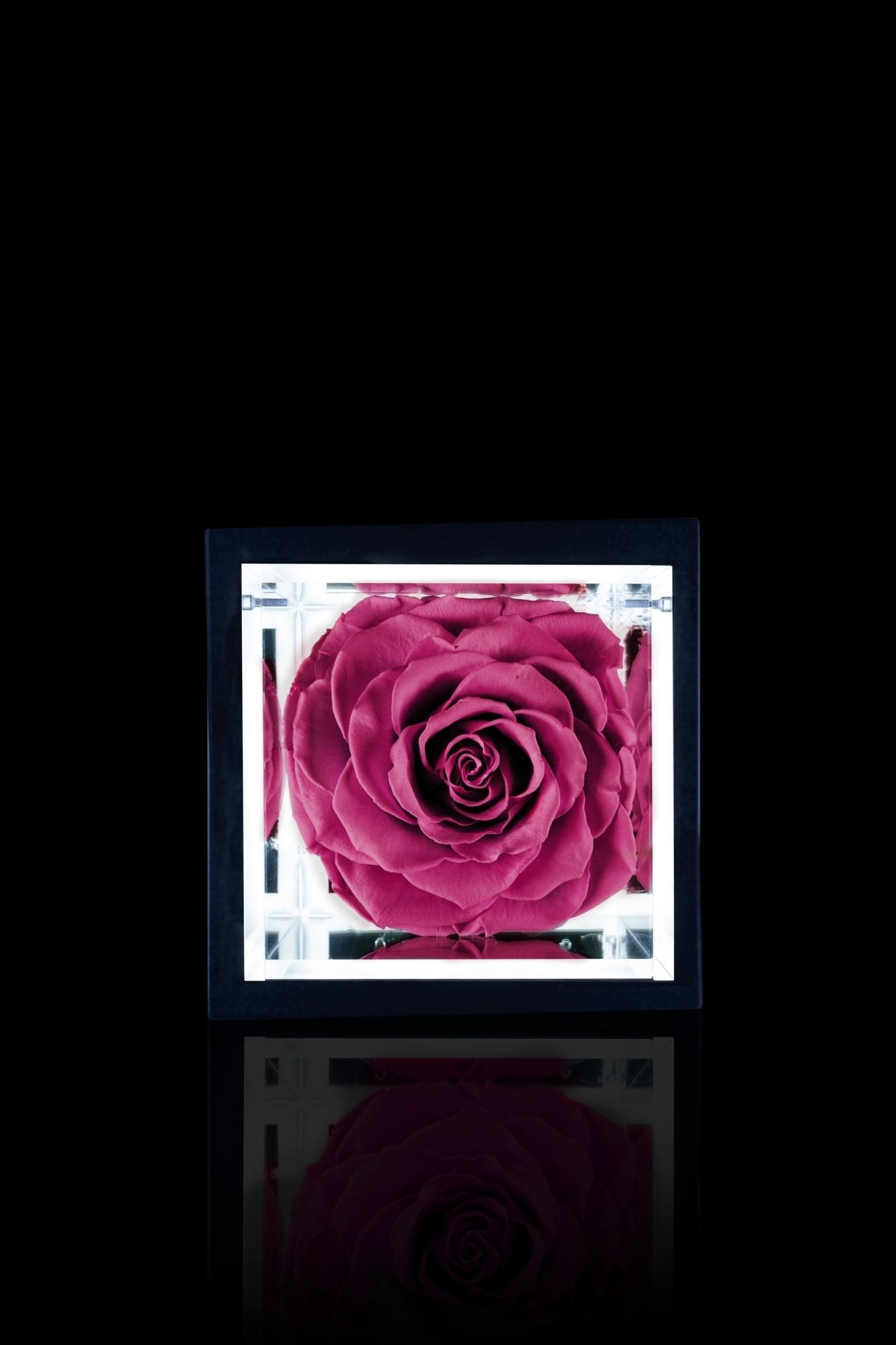 FLOWERCUBE® + LAMPADA: SET COMPLETO