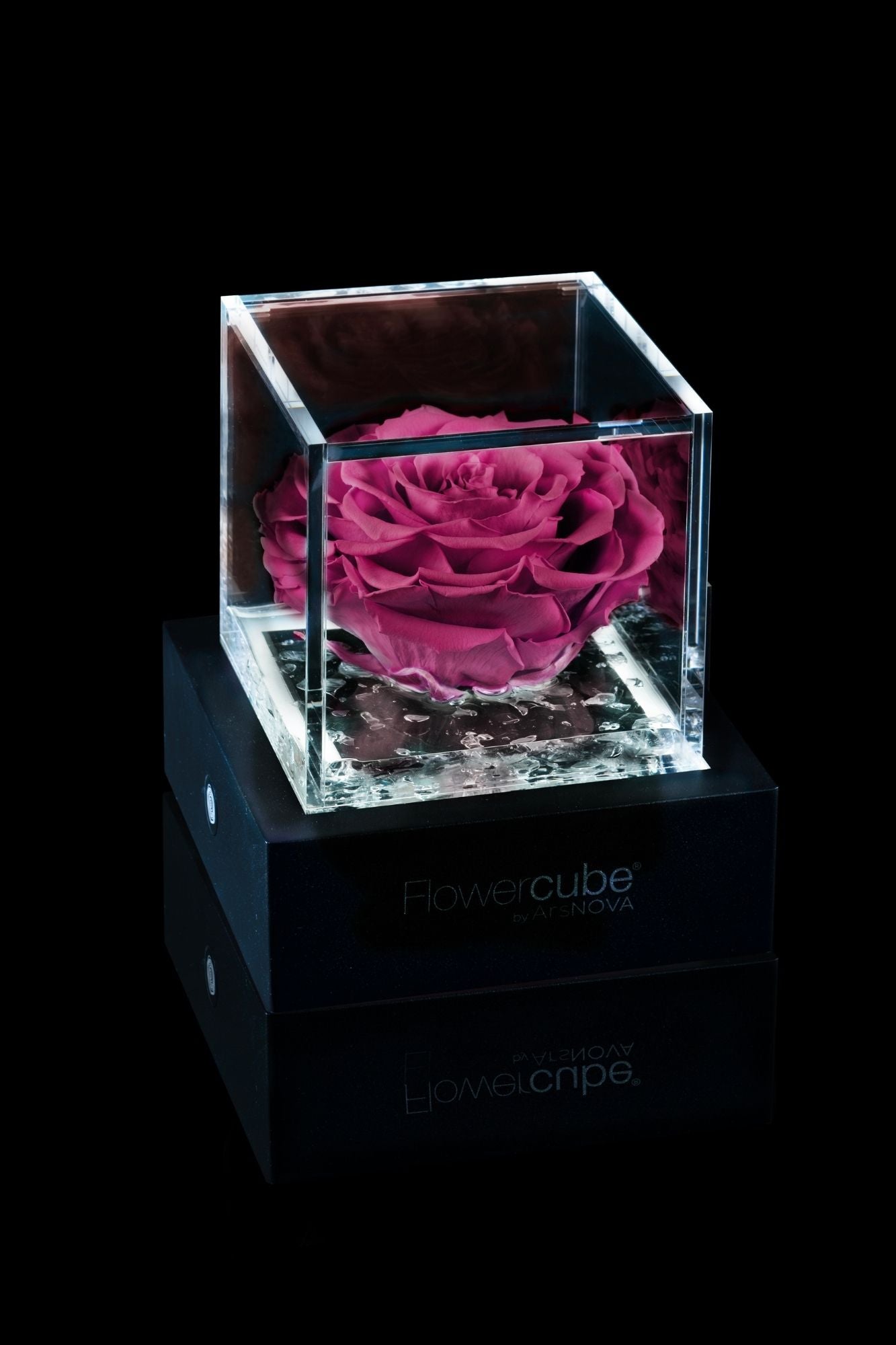 FLOWERCUBE® + LAMPADA: SET COMPLETO