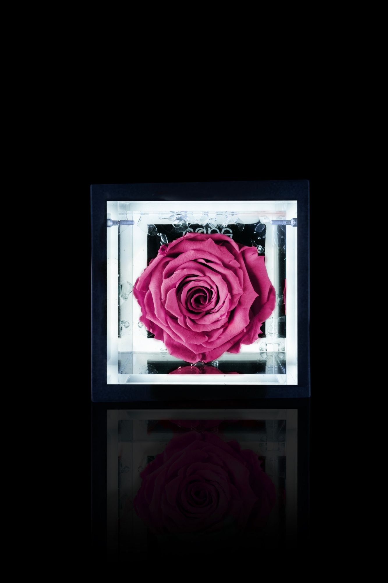 FLOWERCUBE® + LAMPADA: SET COMPLETO