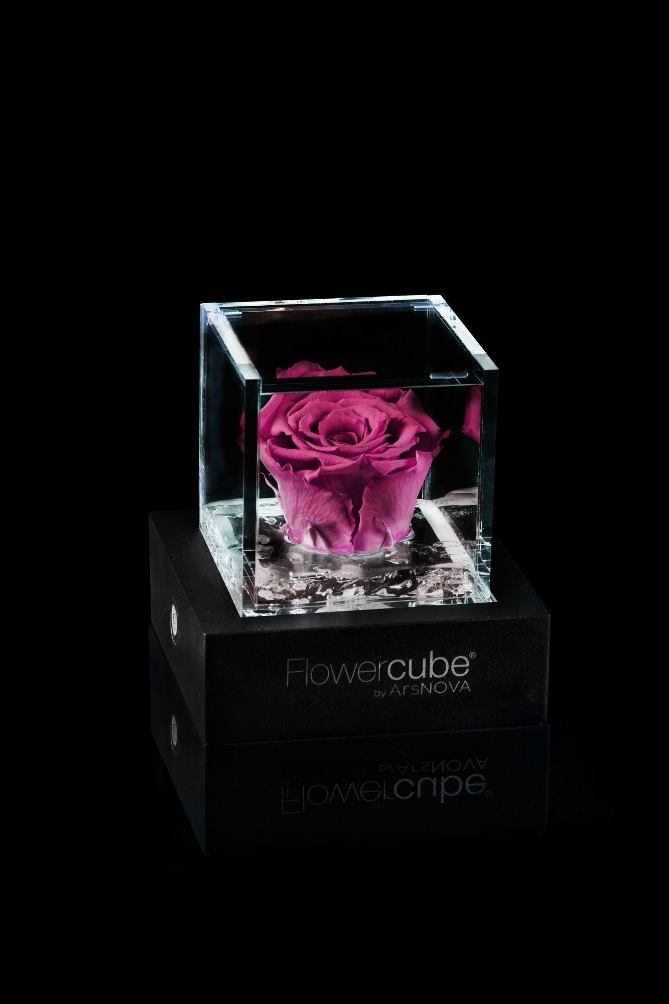 FLOWERCUBE® + LAMPADA: SET COMPLETO