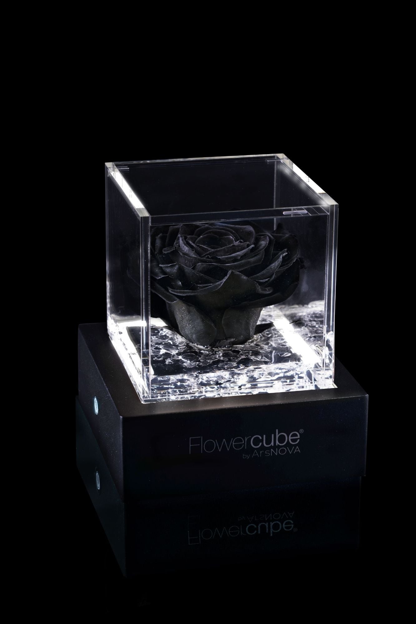 FLOWERCUBE® + LAMPADA: SET COMPLETO