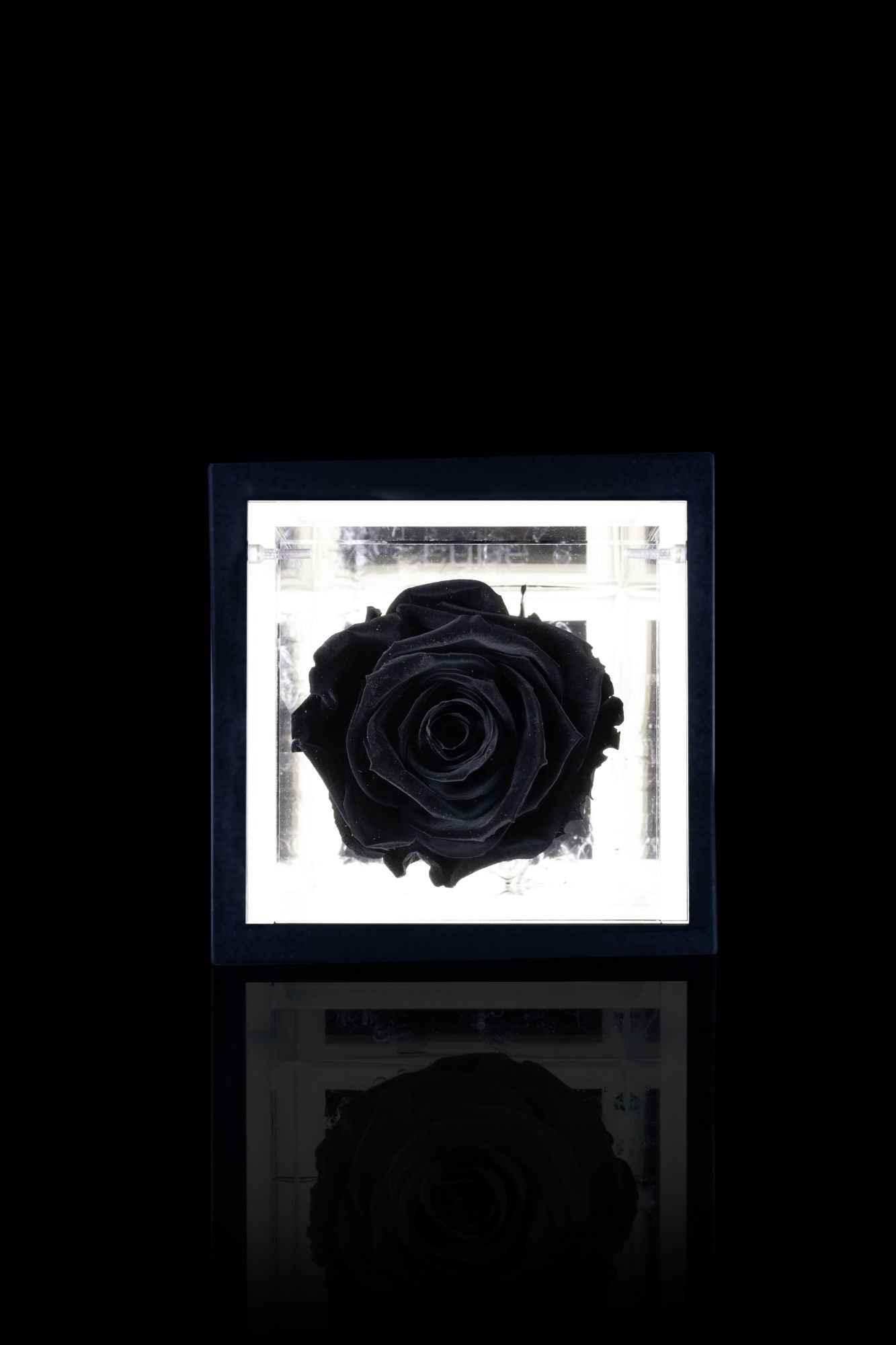 FLOWERCUBE® + LAMPADA: SET COMPLETO