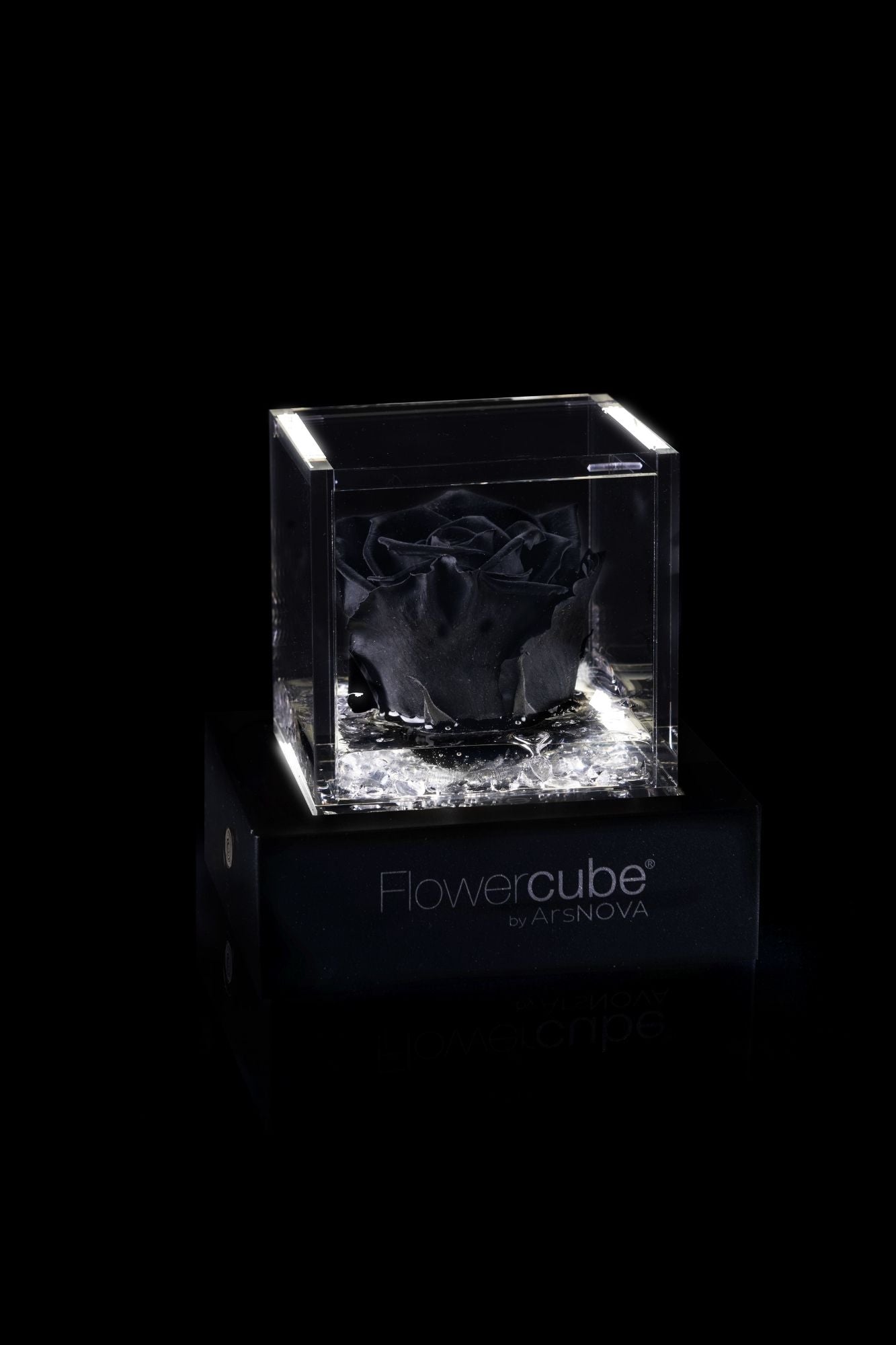 FLOWERCUBE® + LAMPADA: SET COMPLETO