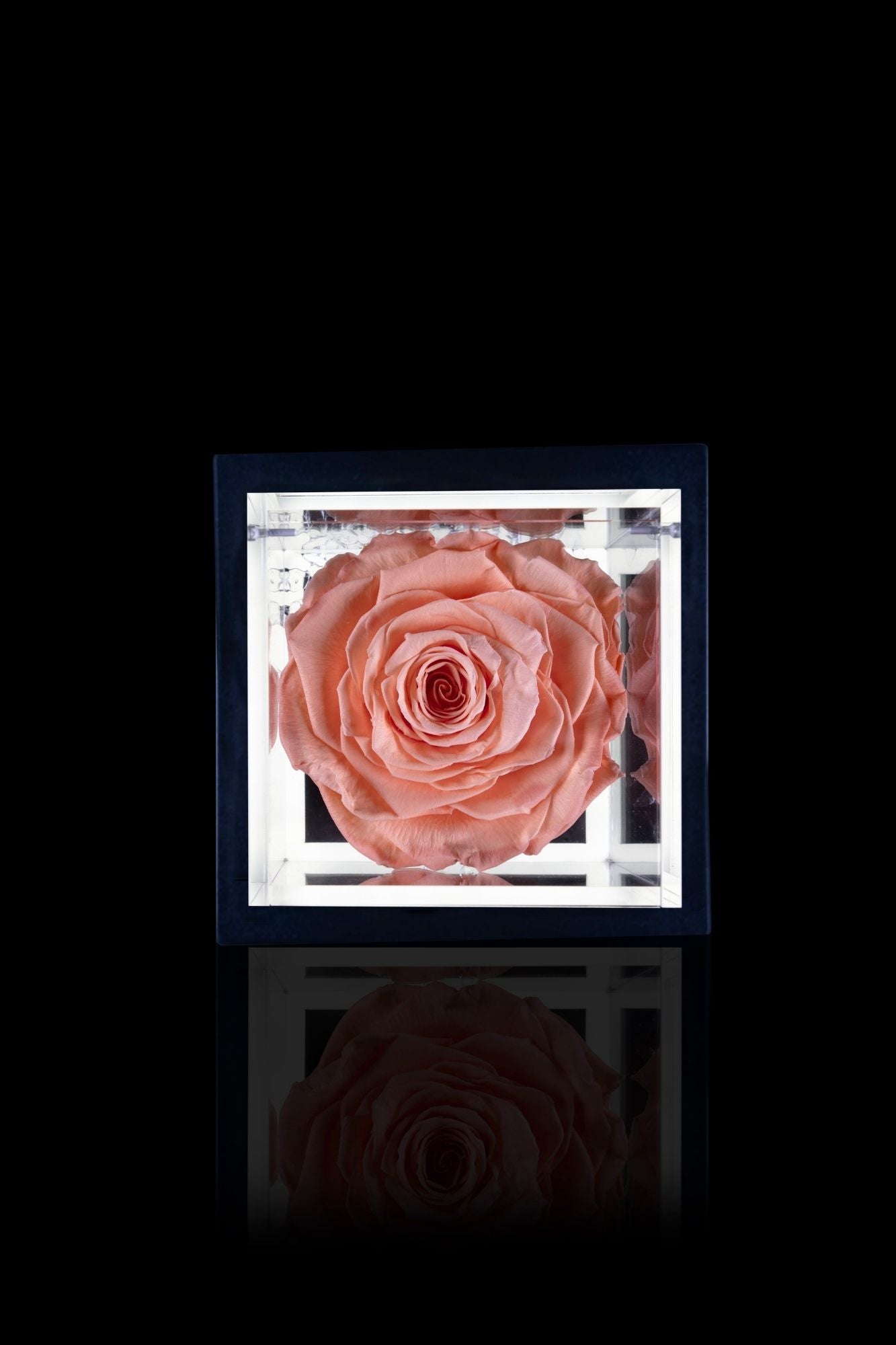 FLOWERCUBE® + LAMPADA: SET COMPLETO