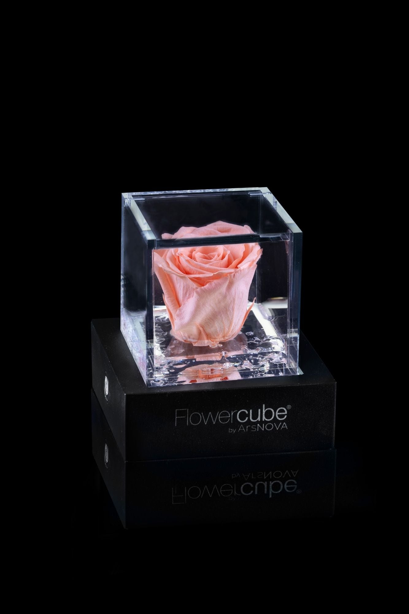FLOWERCUBE® + LAMPADA: SET COMPLETO