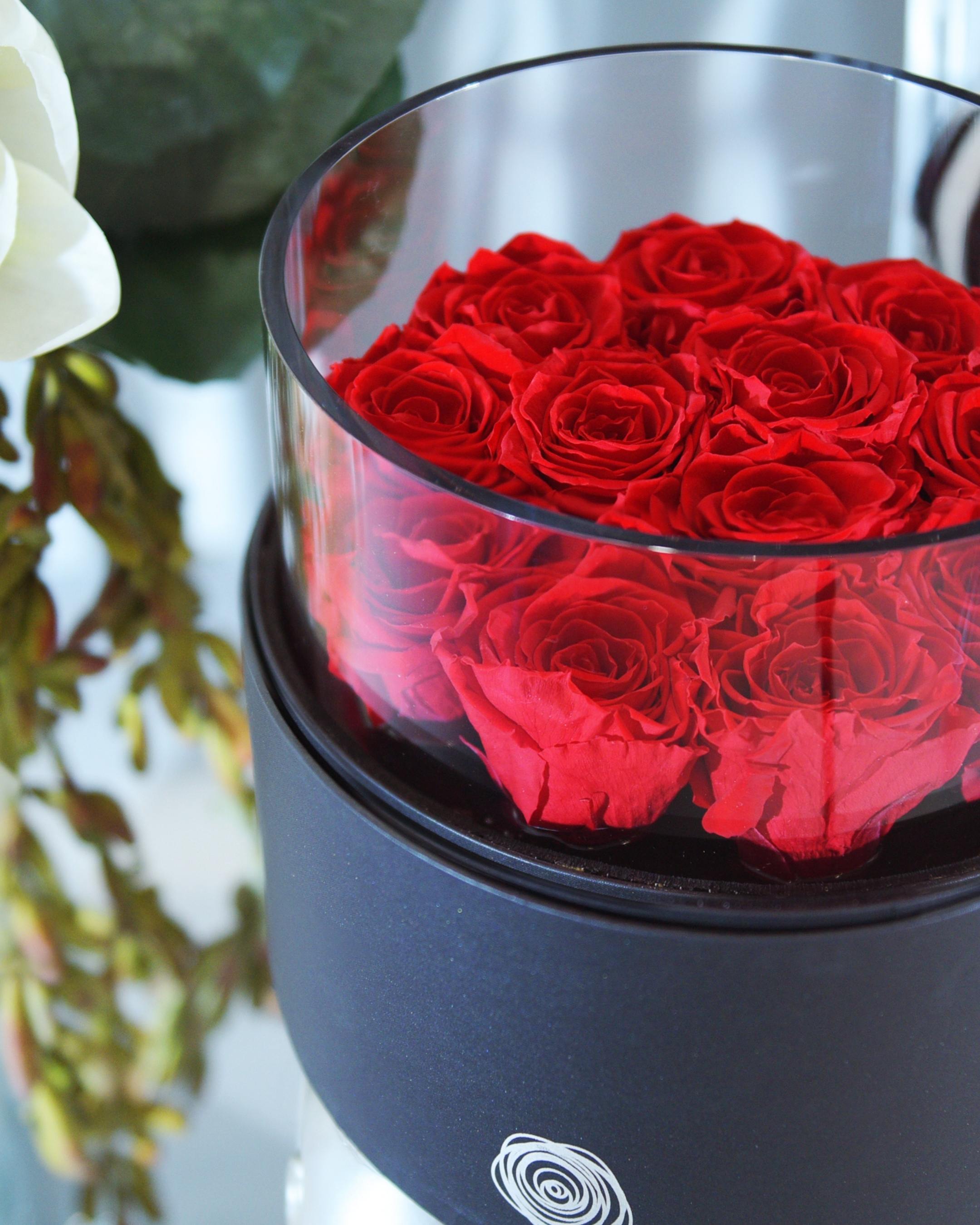FLOWERCUBE PLATINUM - 12 ROSE ROSSE CILINDRO