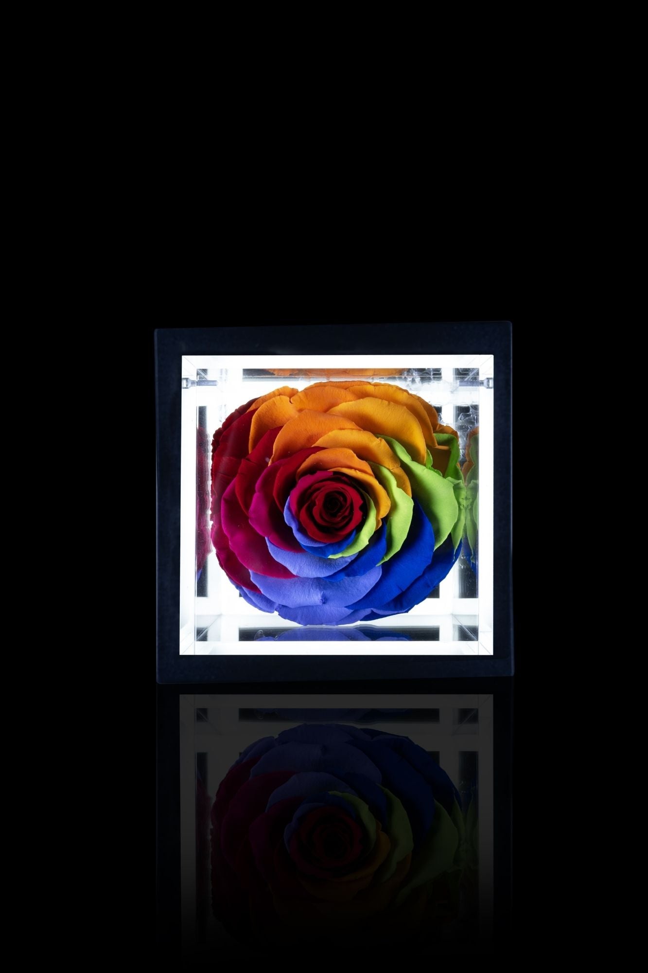 FLOWERCUBE® + LAMPADA: SET COMPLETO