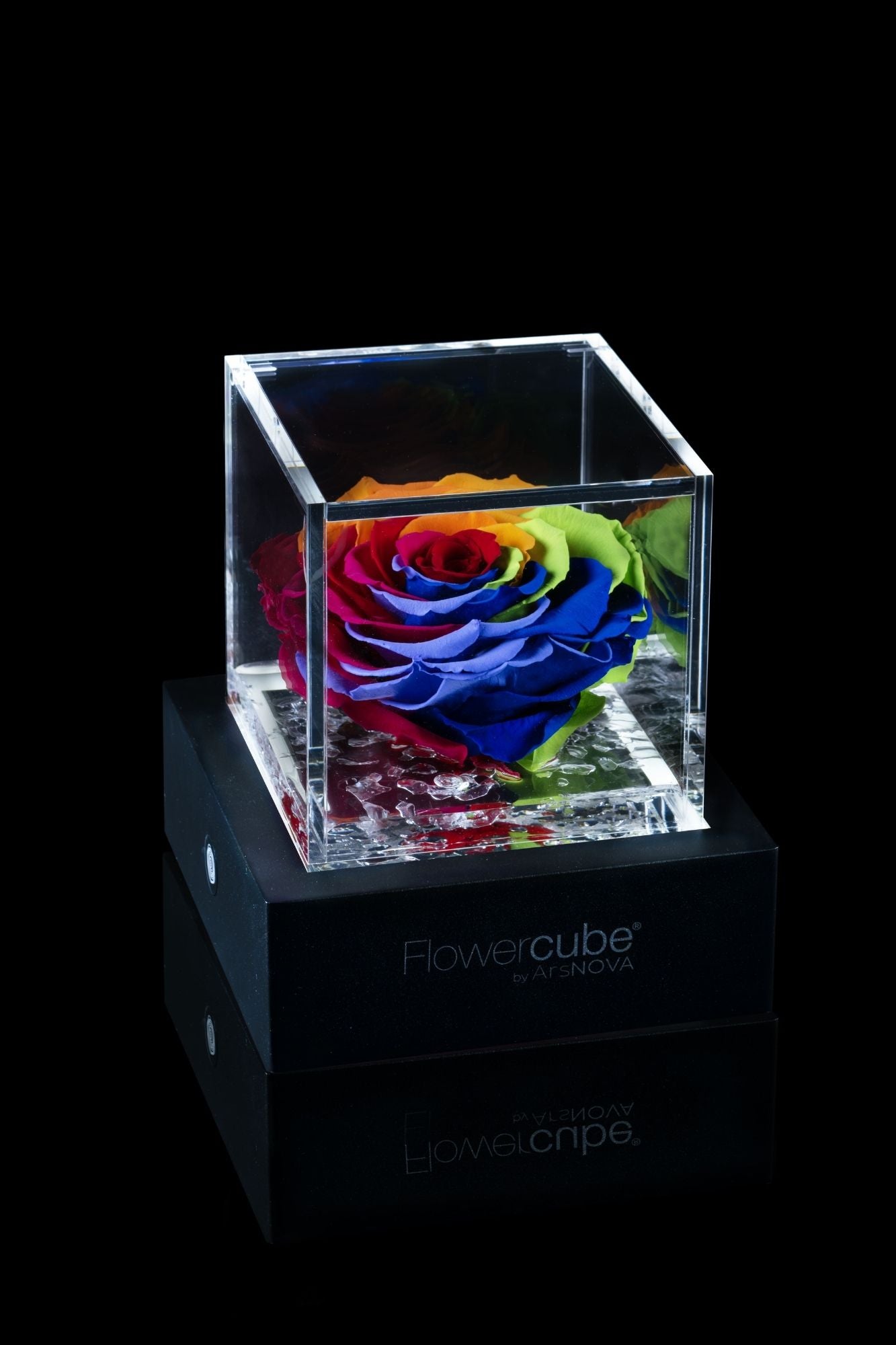 FLOWERCUBE® + LAMPADA: SET COMPLETO