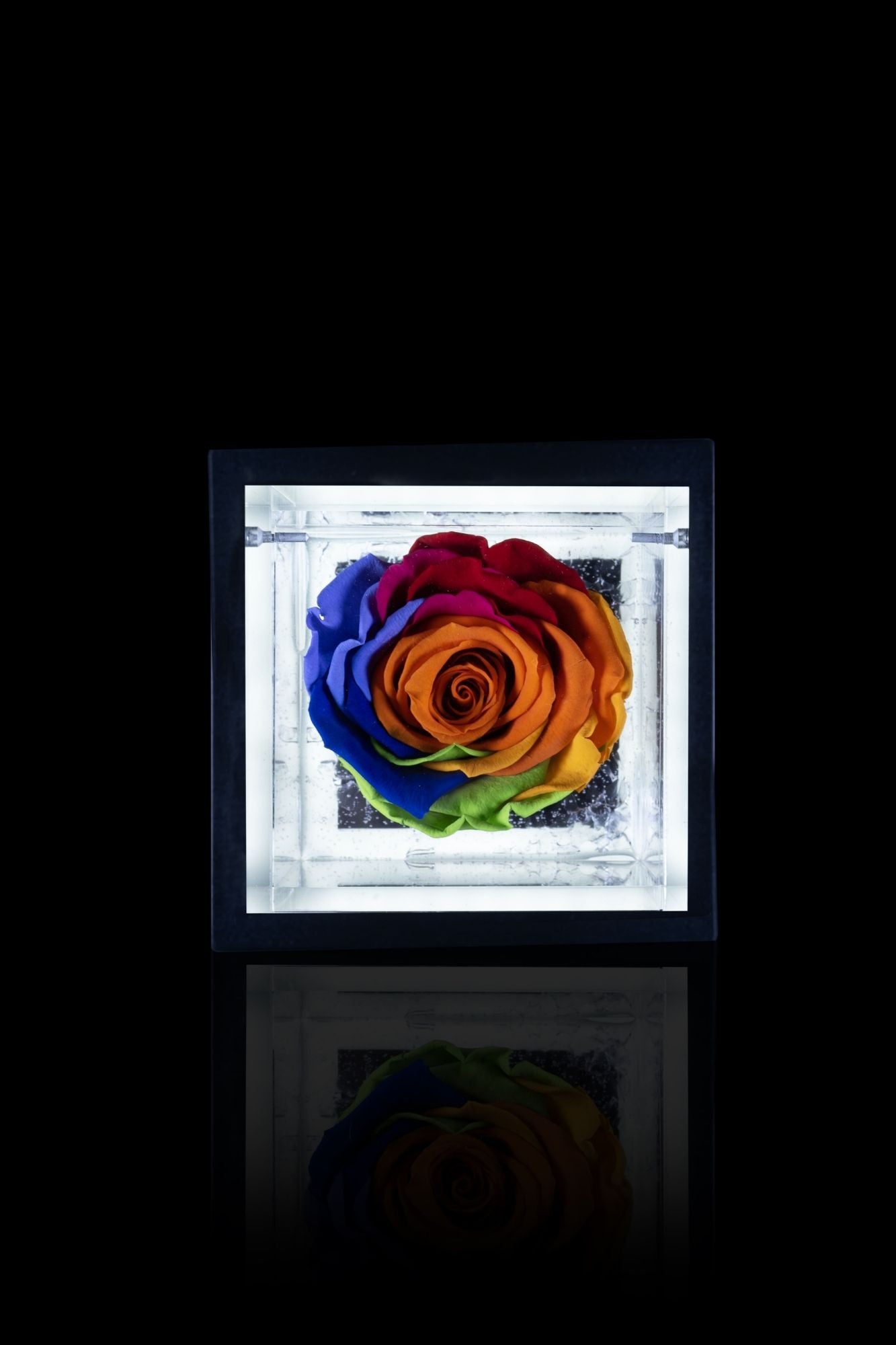 FLOWERCUBE® + LAMPADA: SET COMPLETO