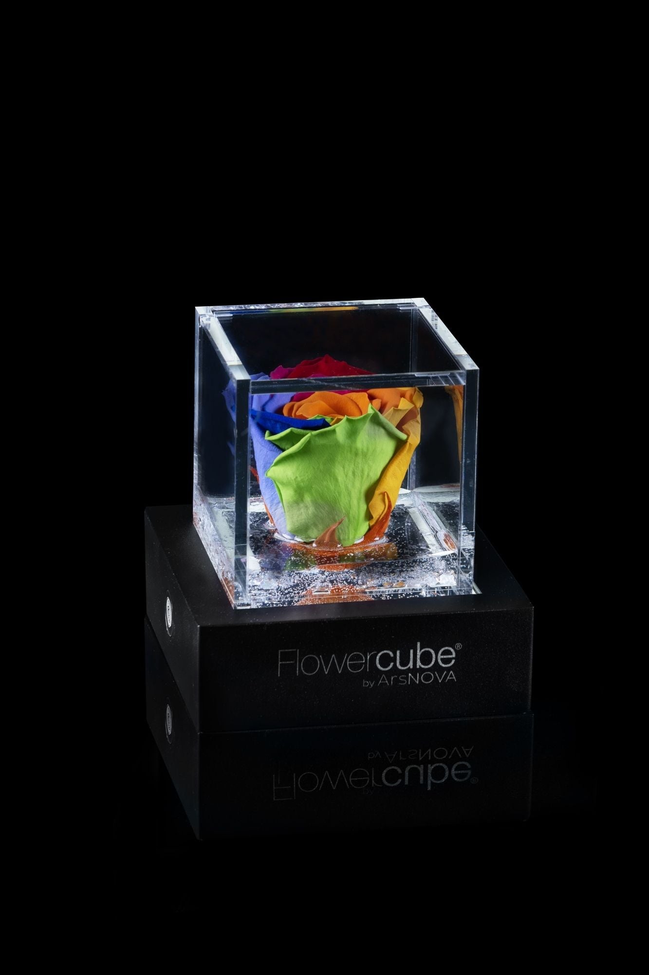 FLOWERCUBE® + LAMPADA: SET COMPLETO